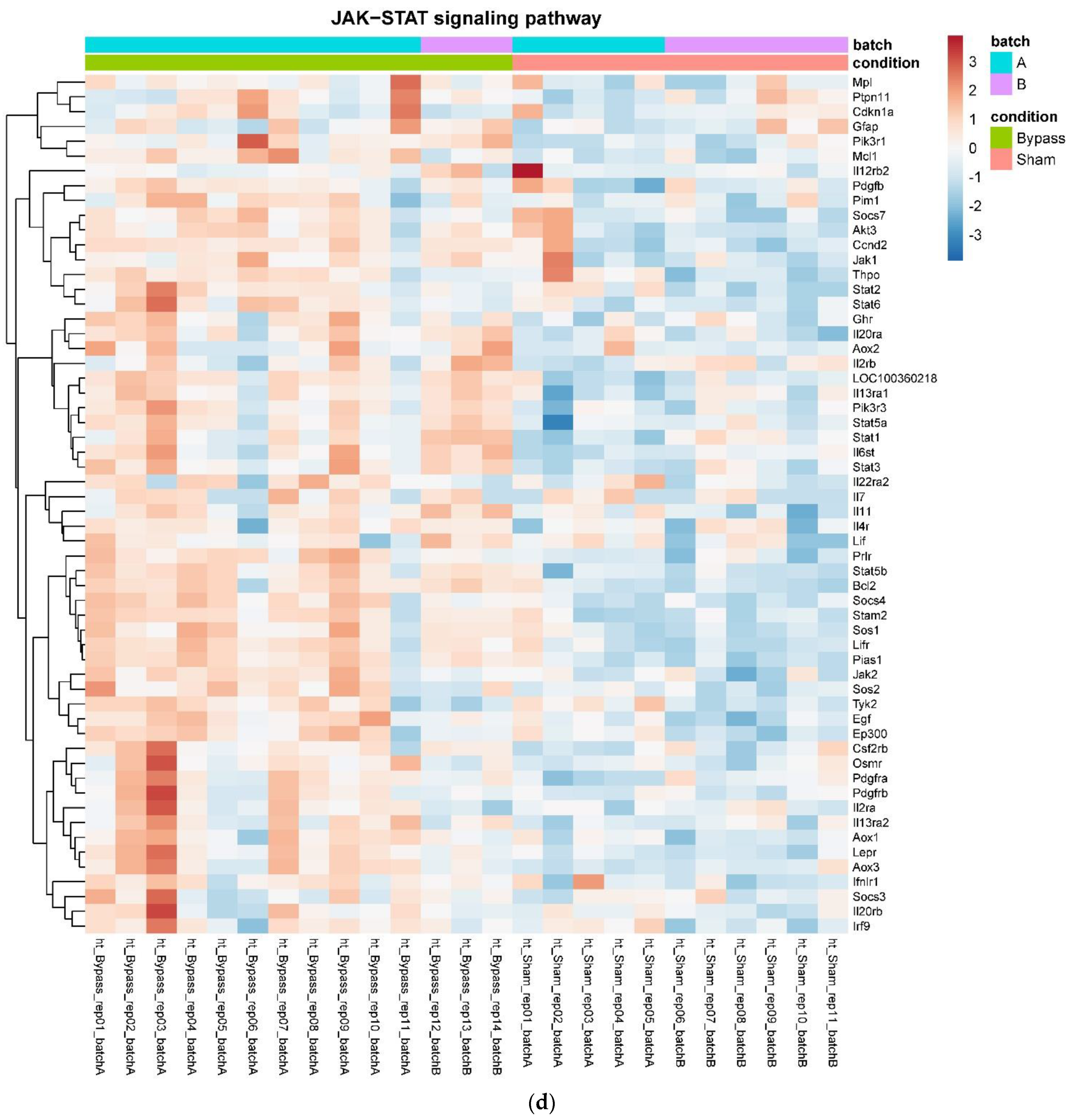 Nutrients 14 00116 g004d Nutrients 14 00116 g004d