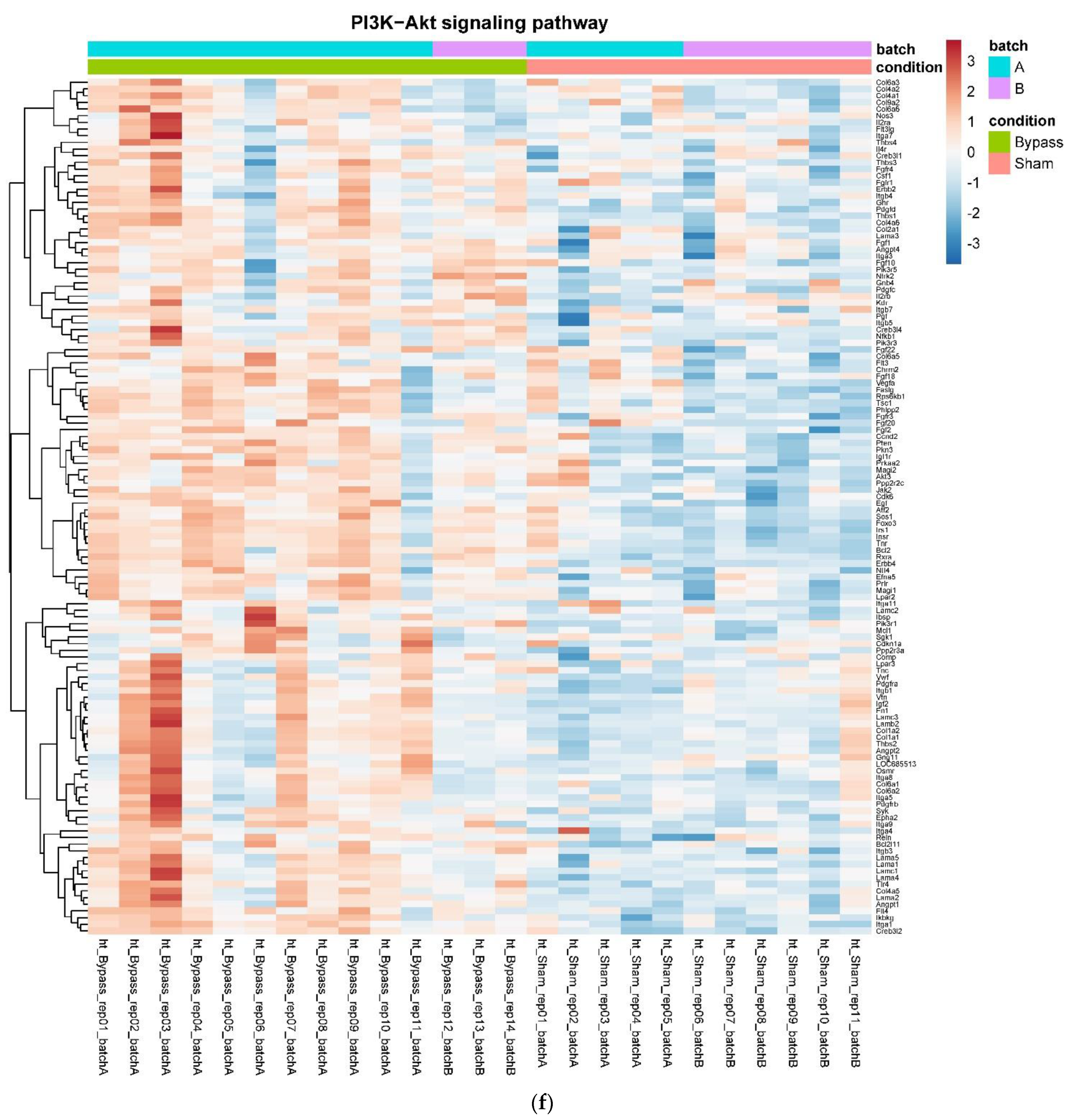 Nutrients 14 00116 g004f Nutrients 14 00116 g004f