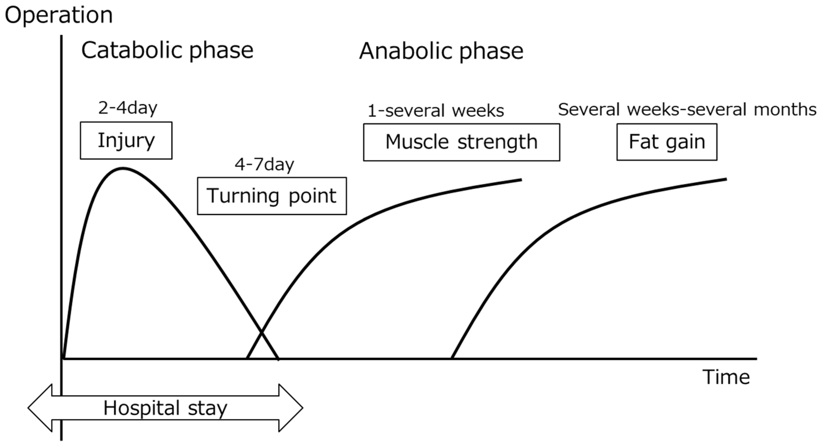 Nutrients 14 00129 g001 Nutrients 14 00129 g001