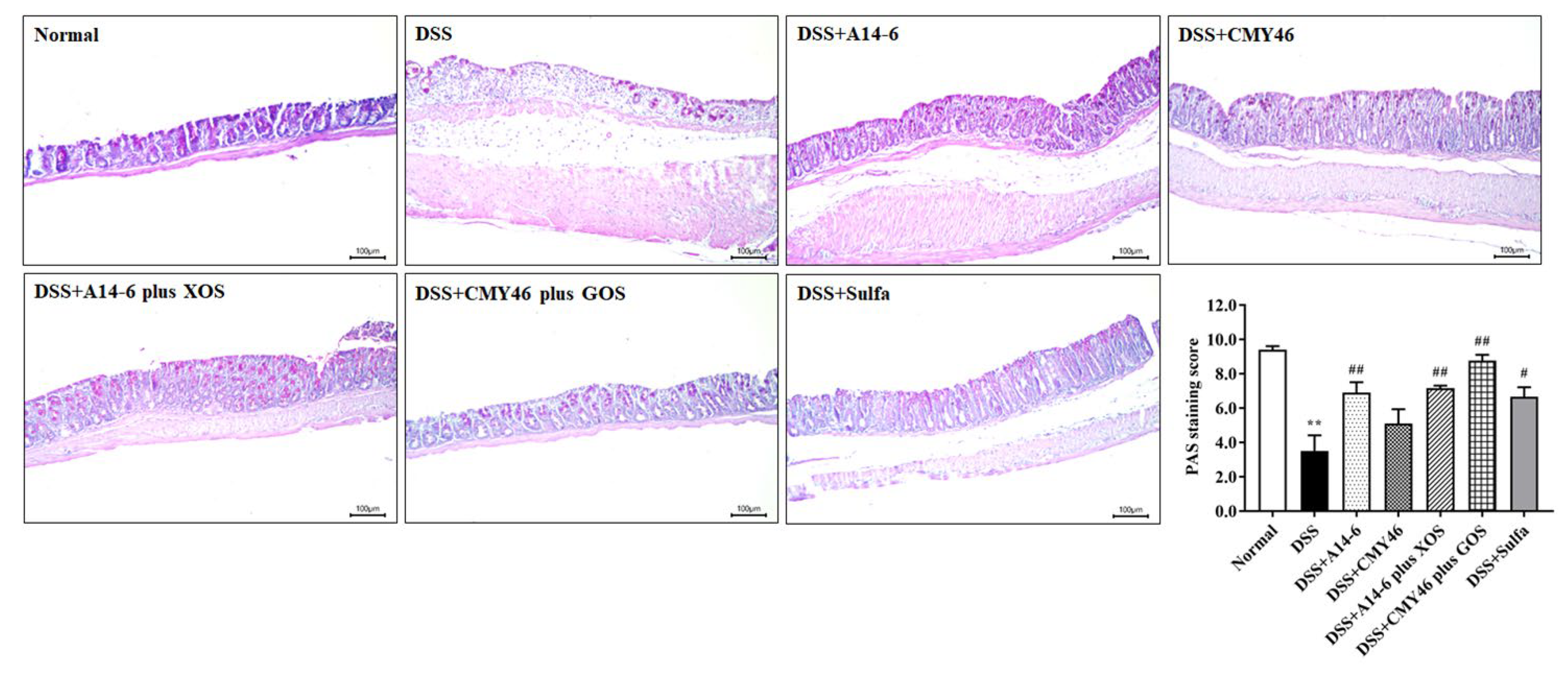 Nutrients 14 00227 g004