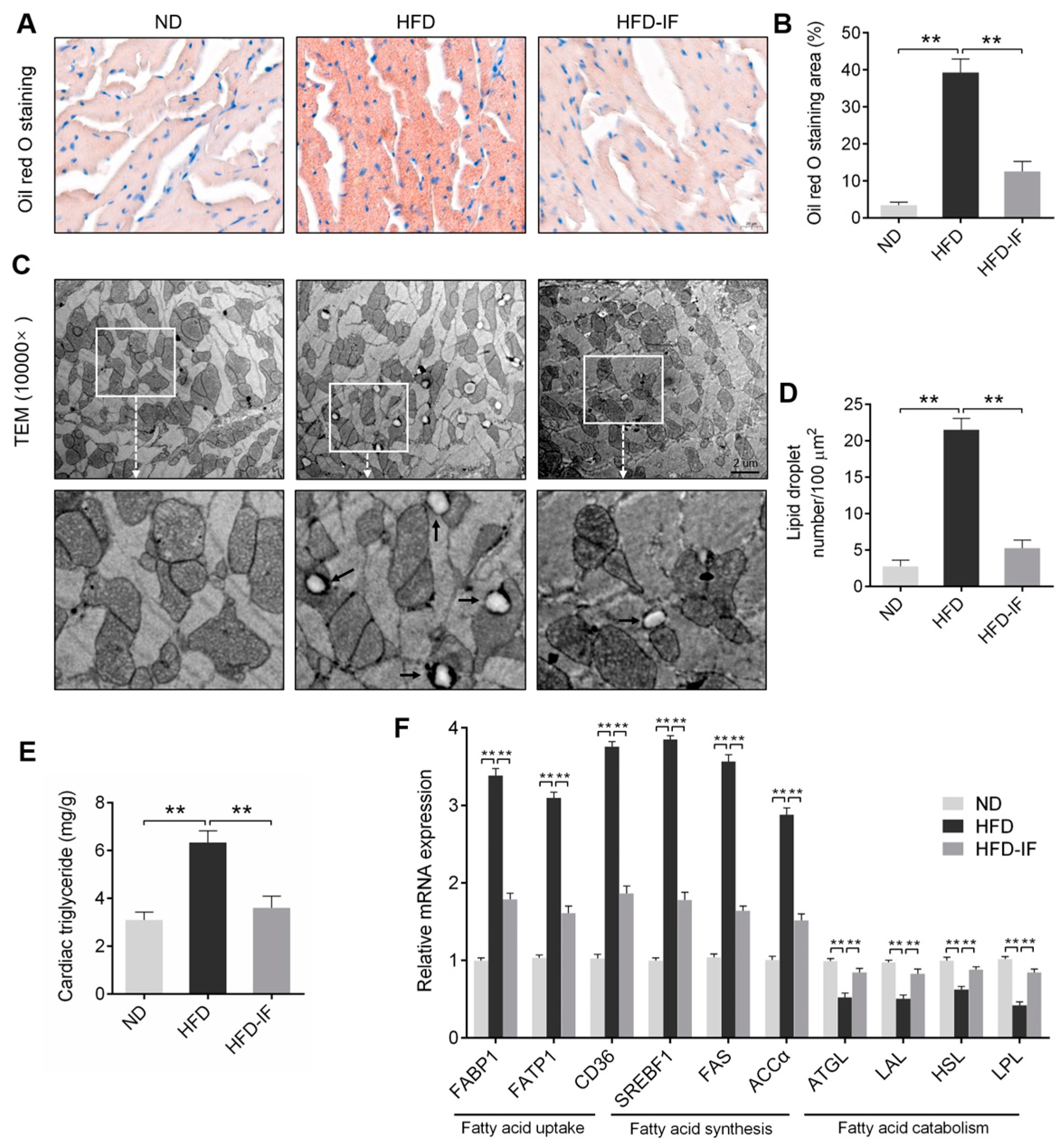 Nutrients 14 00251 g004
