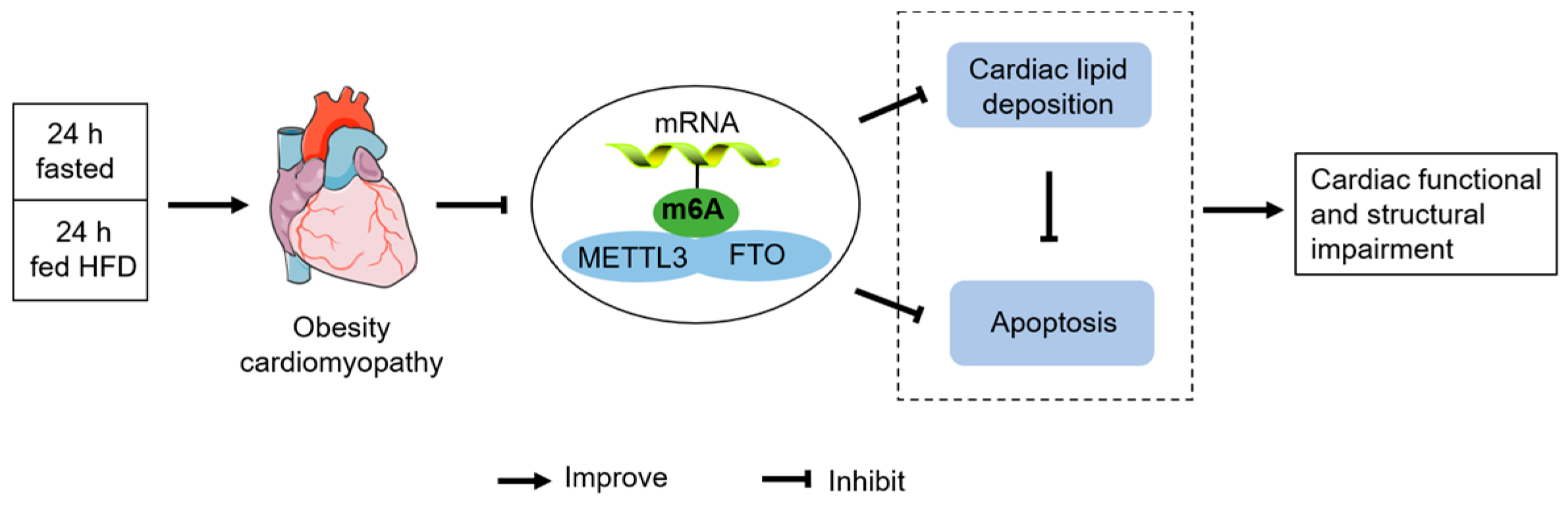 Nutrients 14 00251 g007