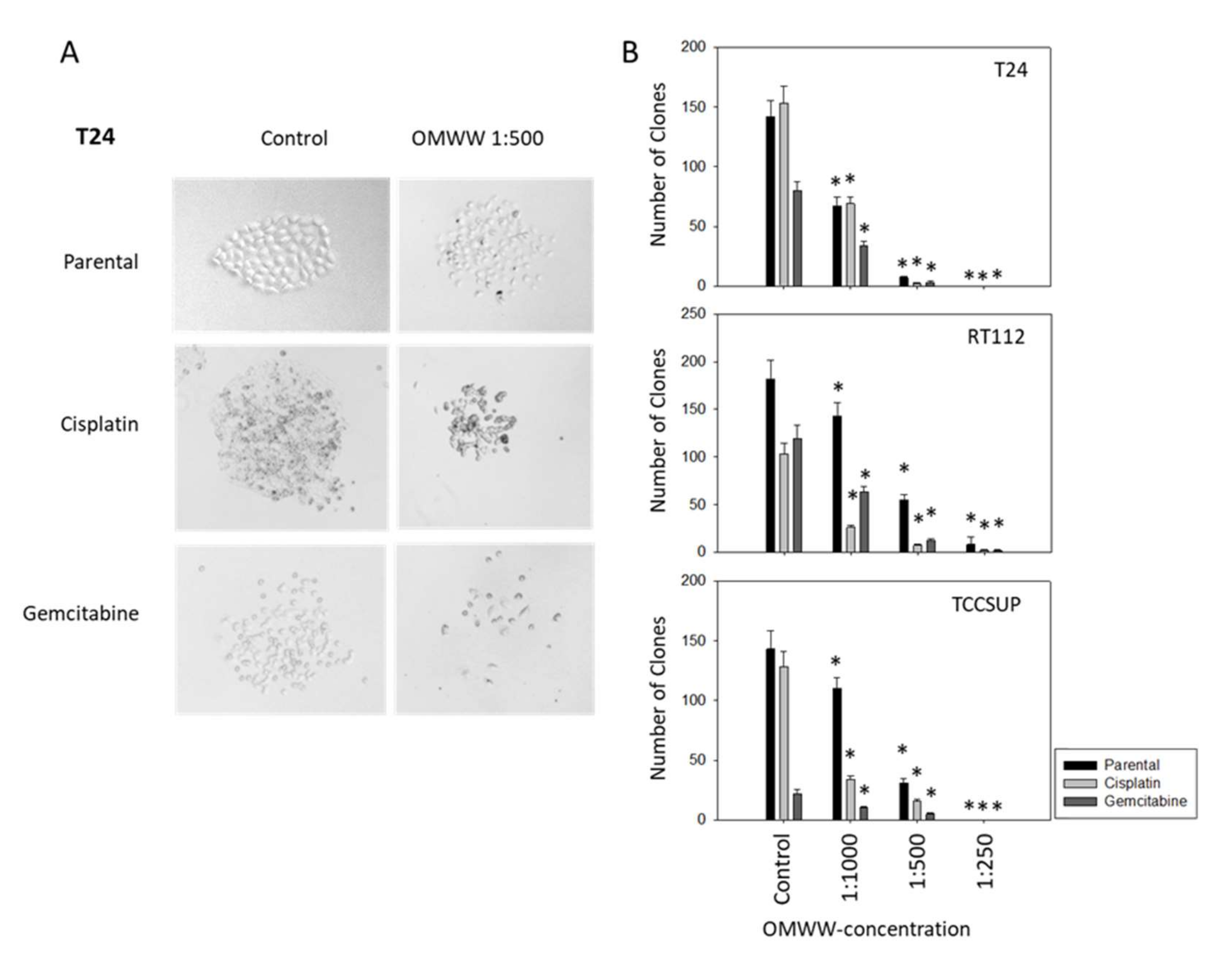 Nutrients 14 00369 g004