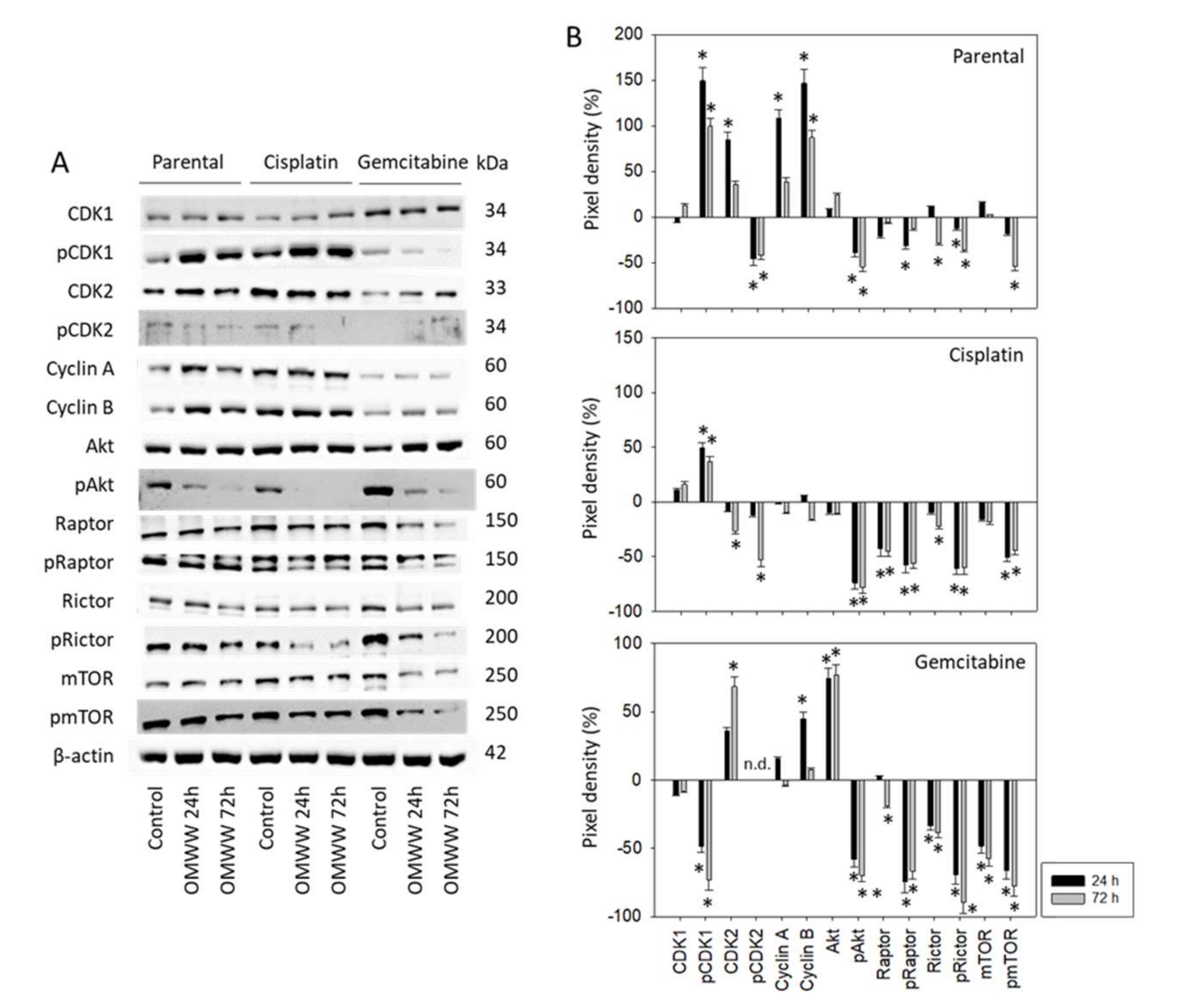 Nutrients 14 00369 g006