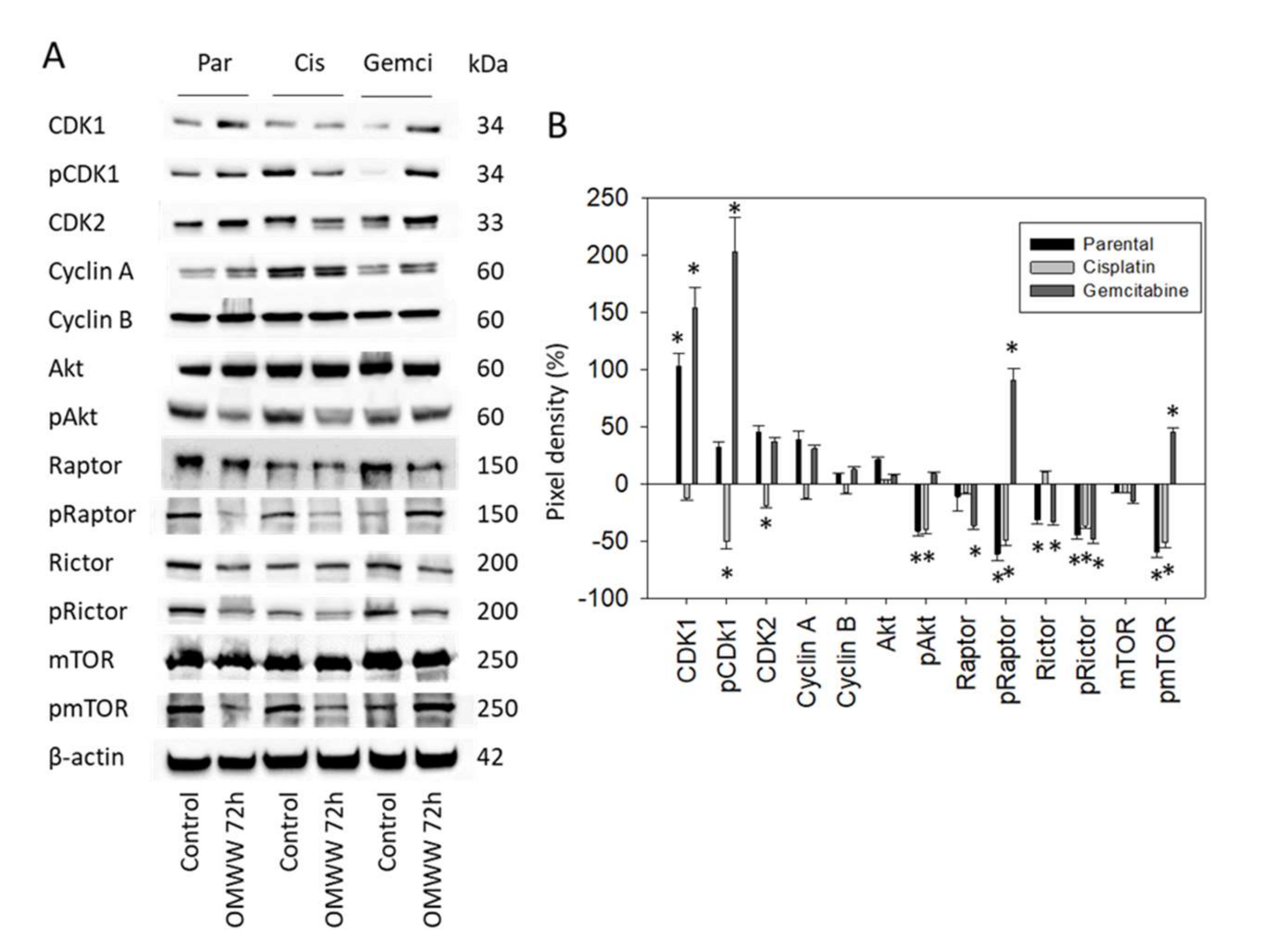 Nutrients 14 00369 g007