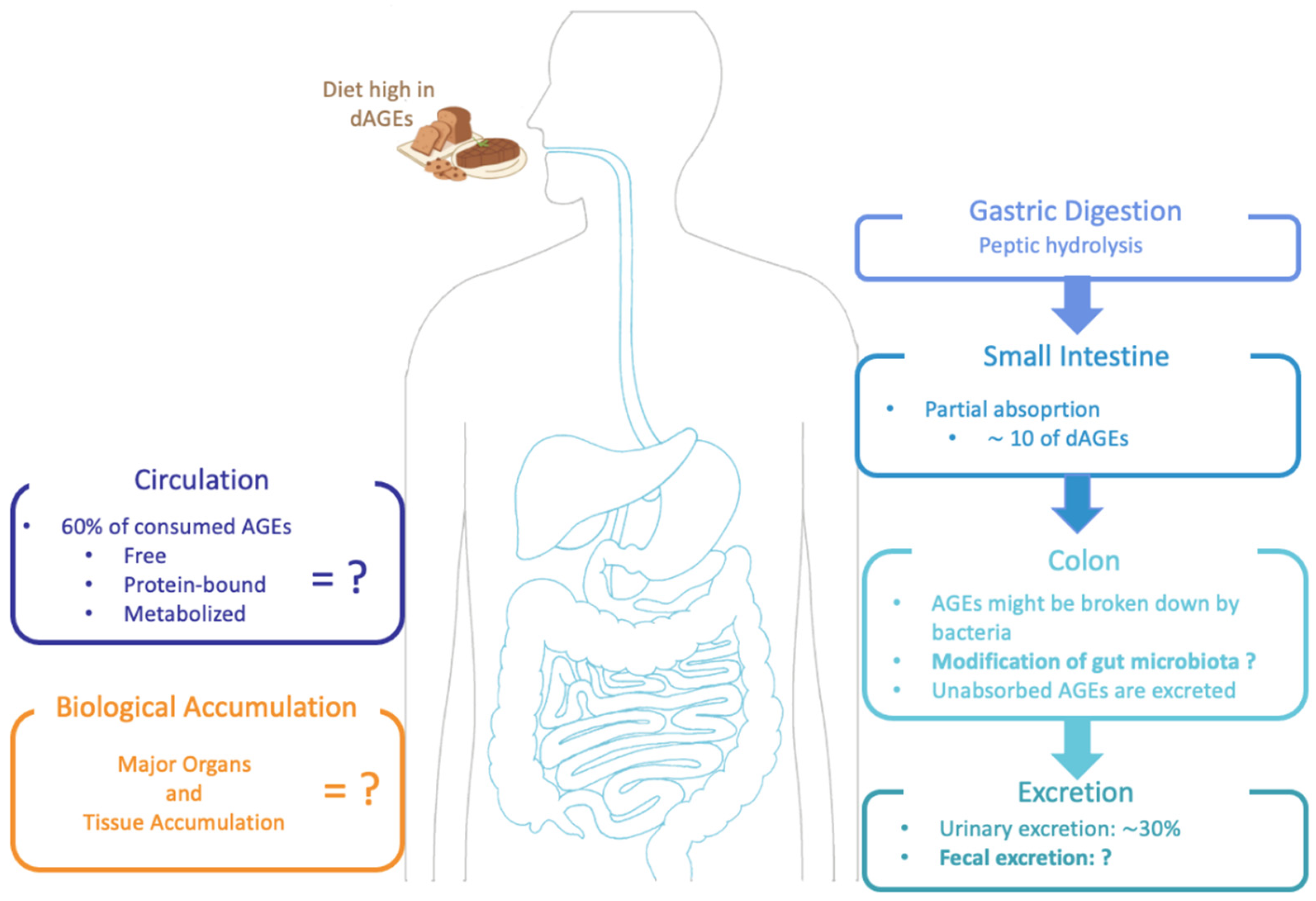 Nutrients 14 00371 g002 Nutrients 14 00371 g002