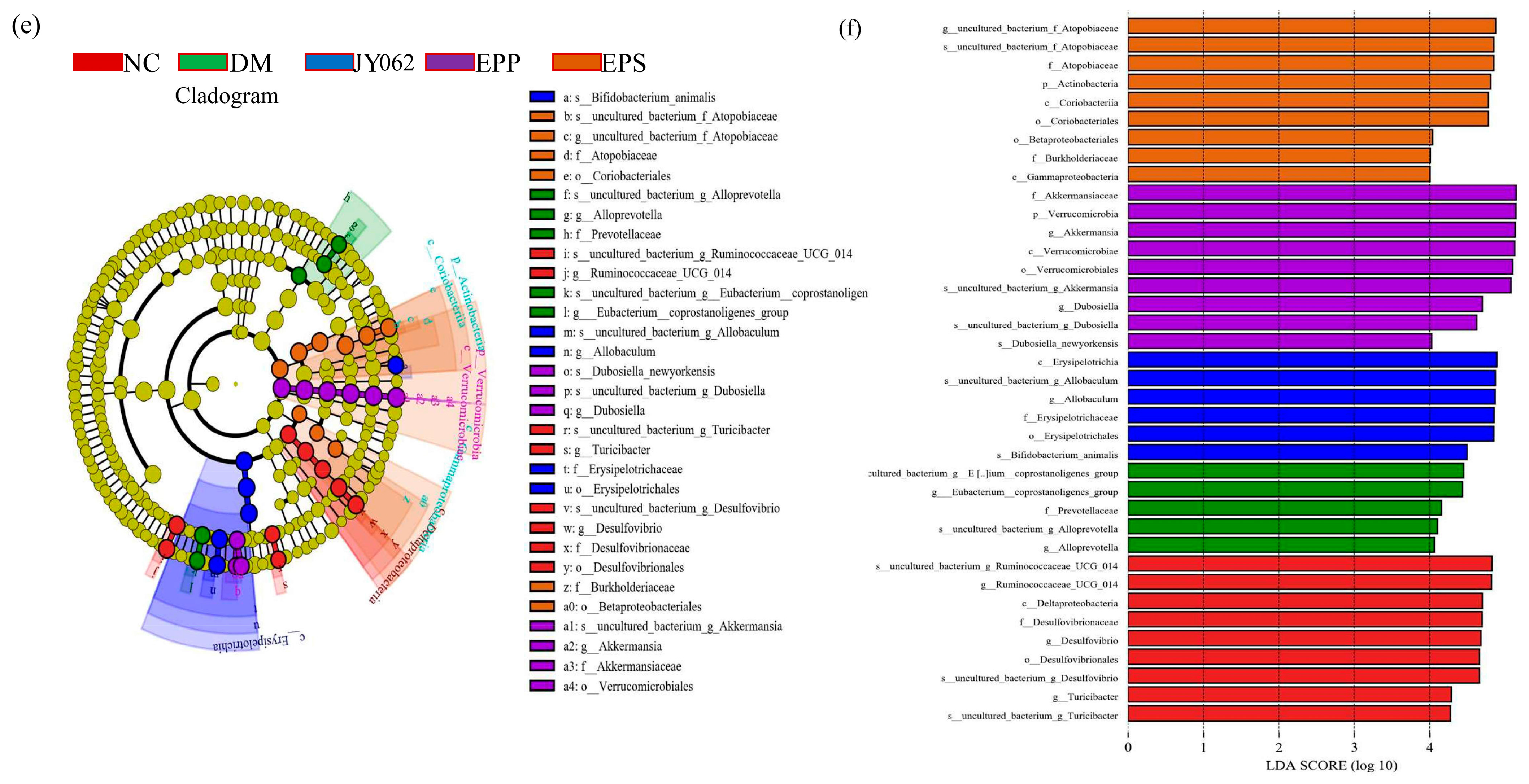 Nutrients 14 00377 g005b