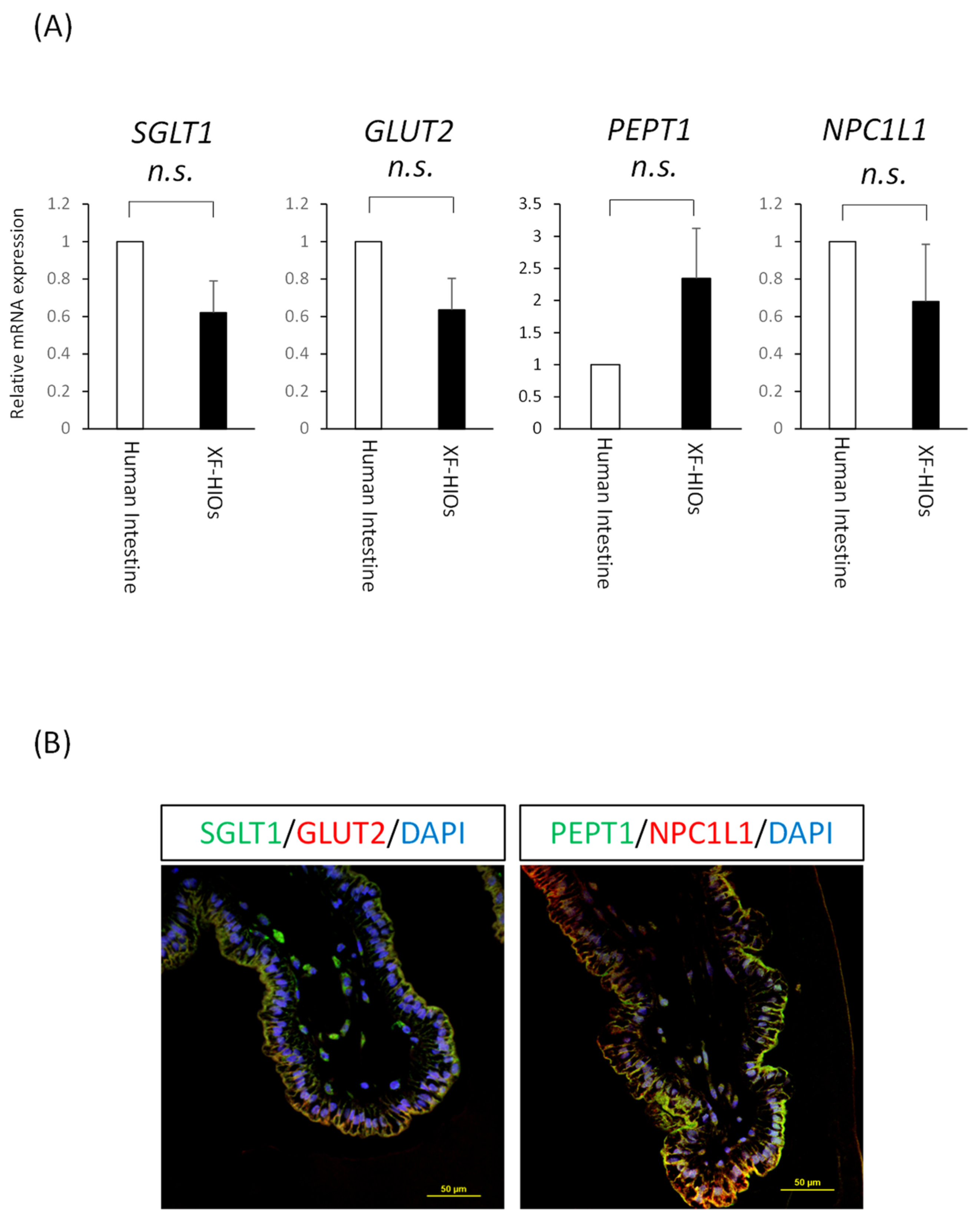 Nutrients 14 00438 g002