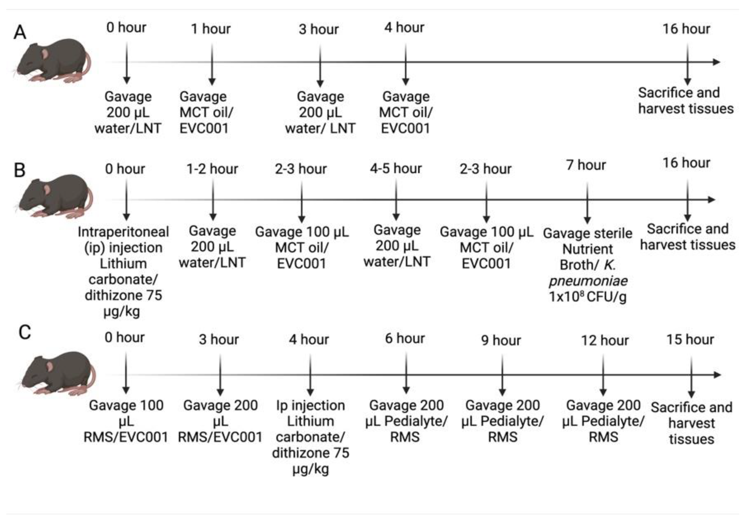 Nutrients 14 00495 g001