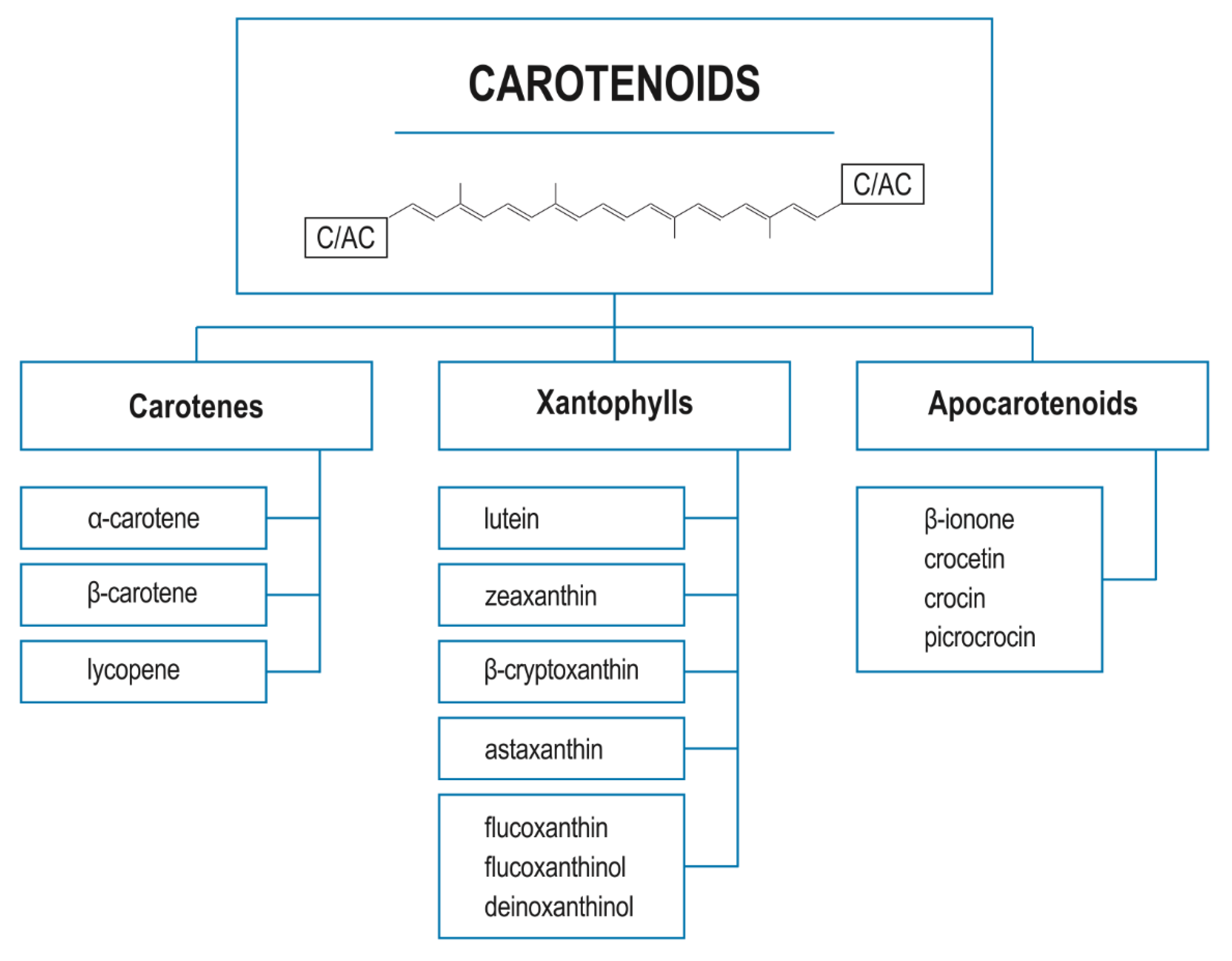 Nutrients | Free Full-Text | Dietary Carotenoids in Head and Neck  Cancer&mdash;Molecular and Clinical Implications | HTML