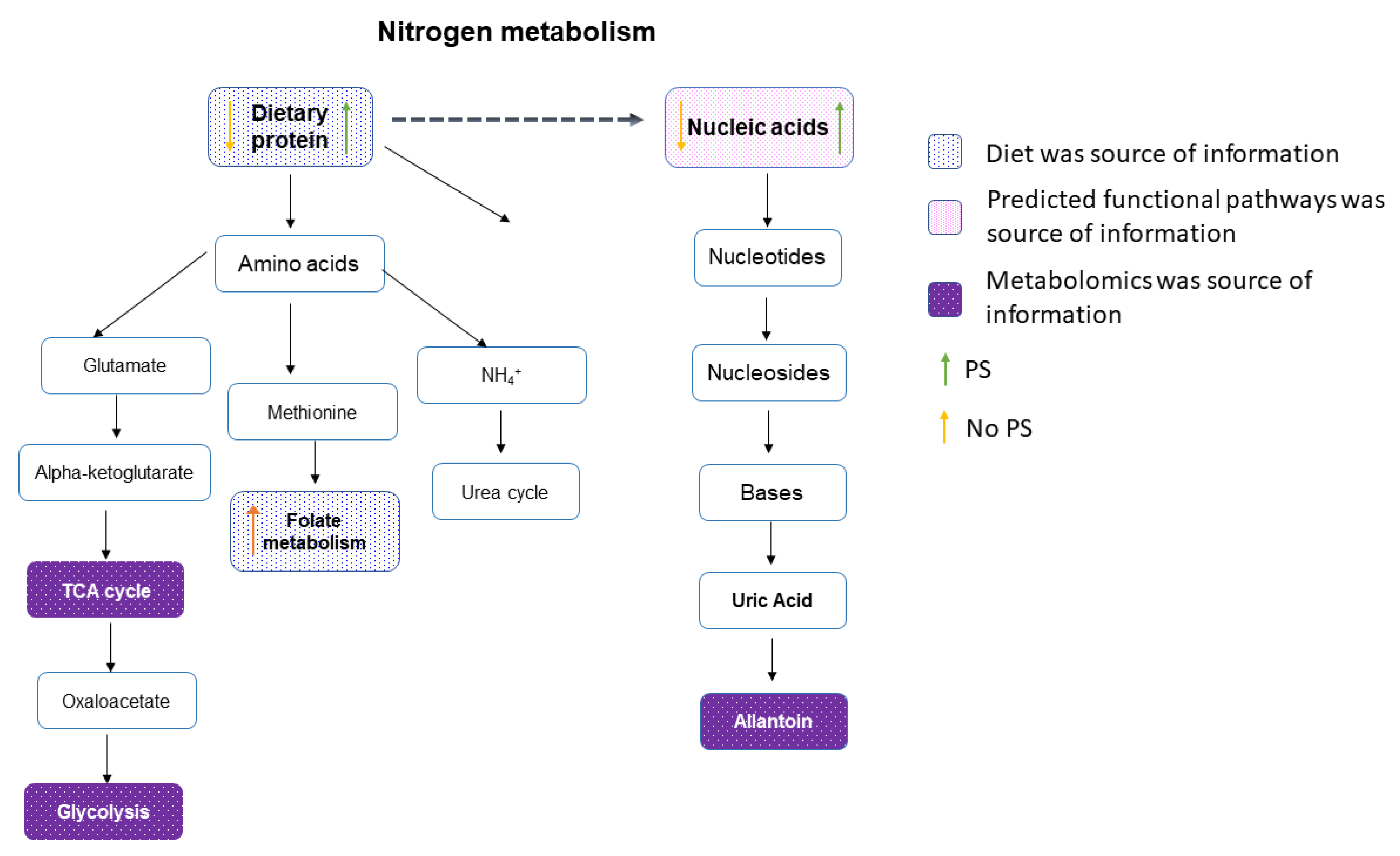 Nutrients 14 00533 g005