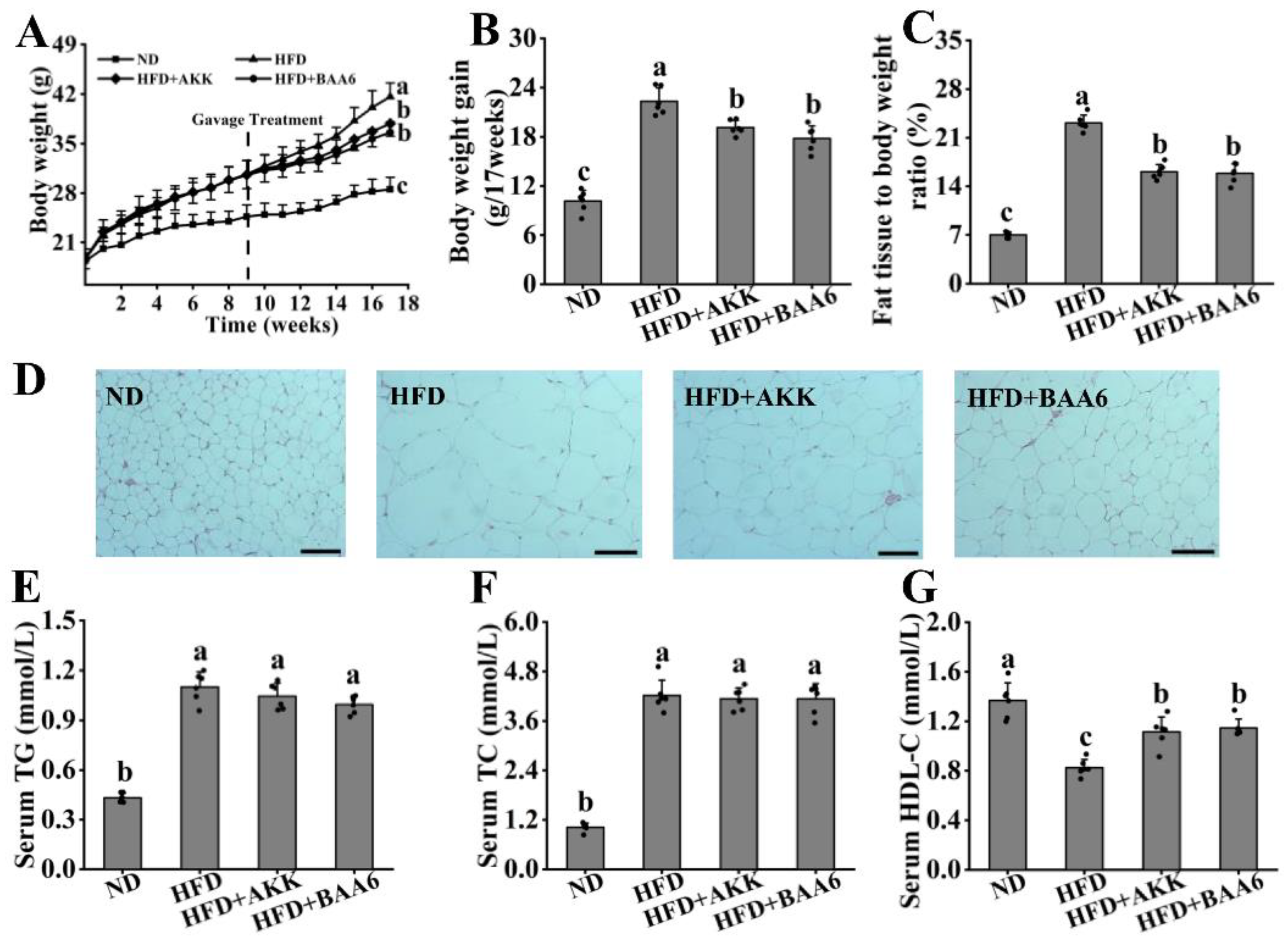 Nutrients 14 00598 g001