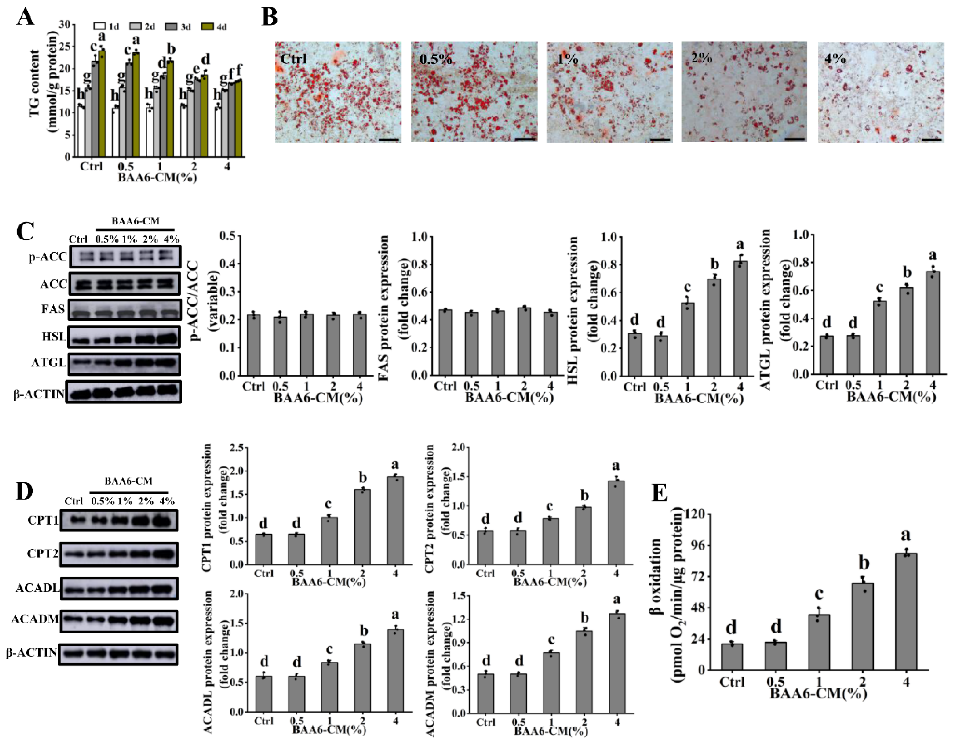 Nutrients 14 00598 g003