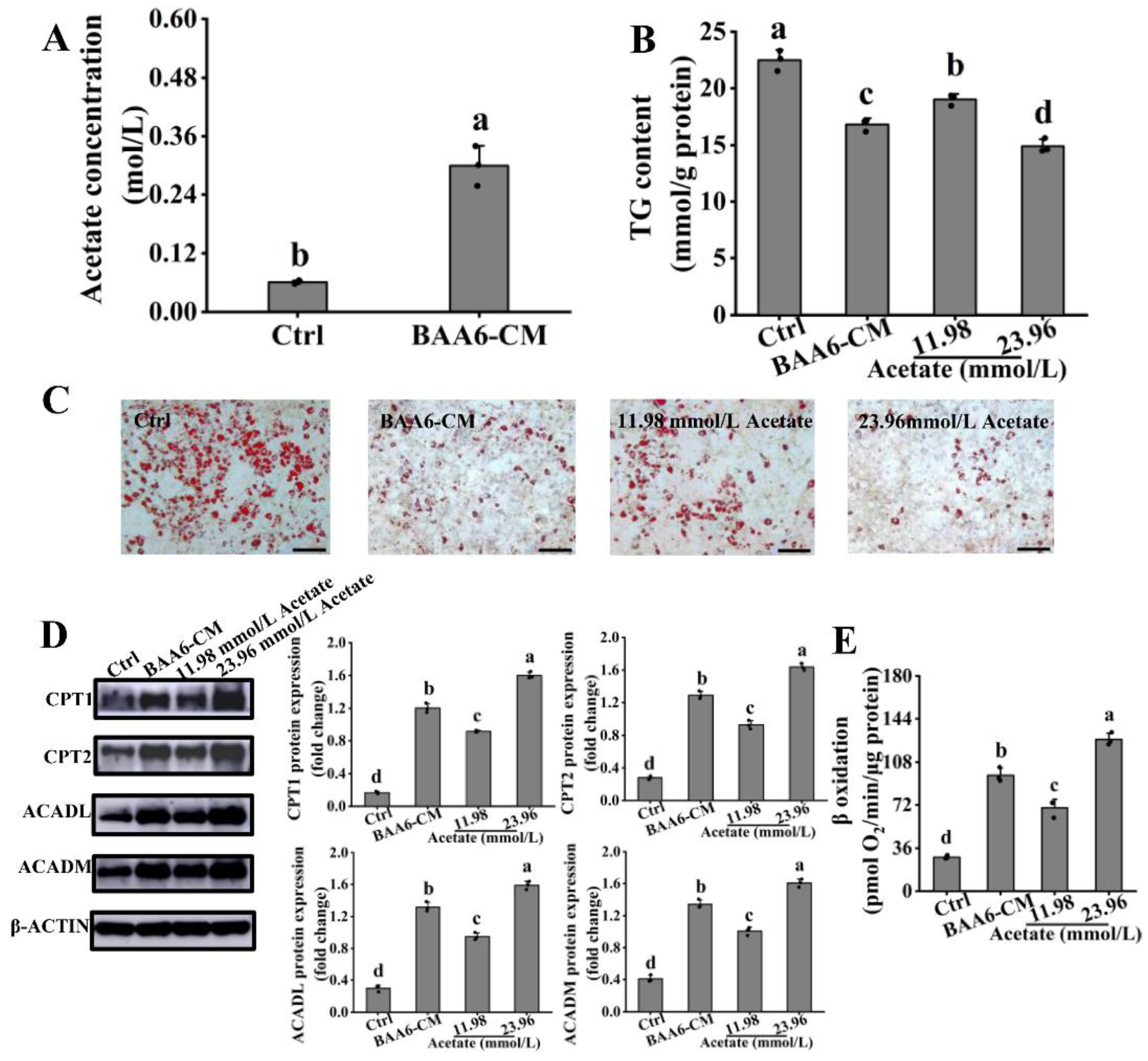 Nutrients 14 00598 g004