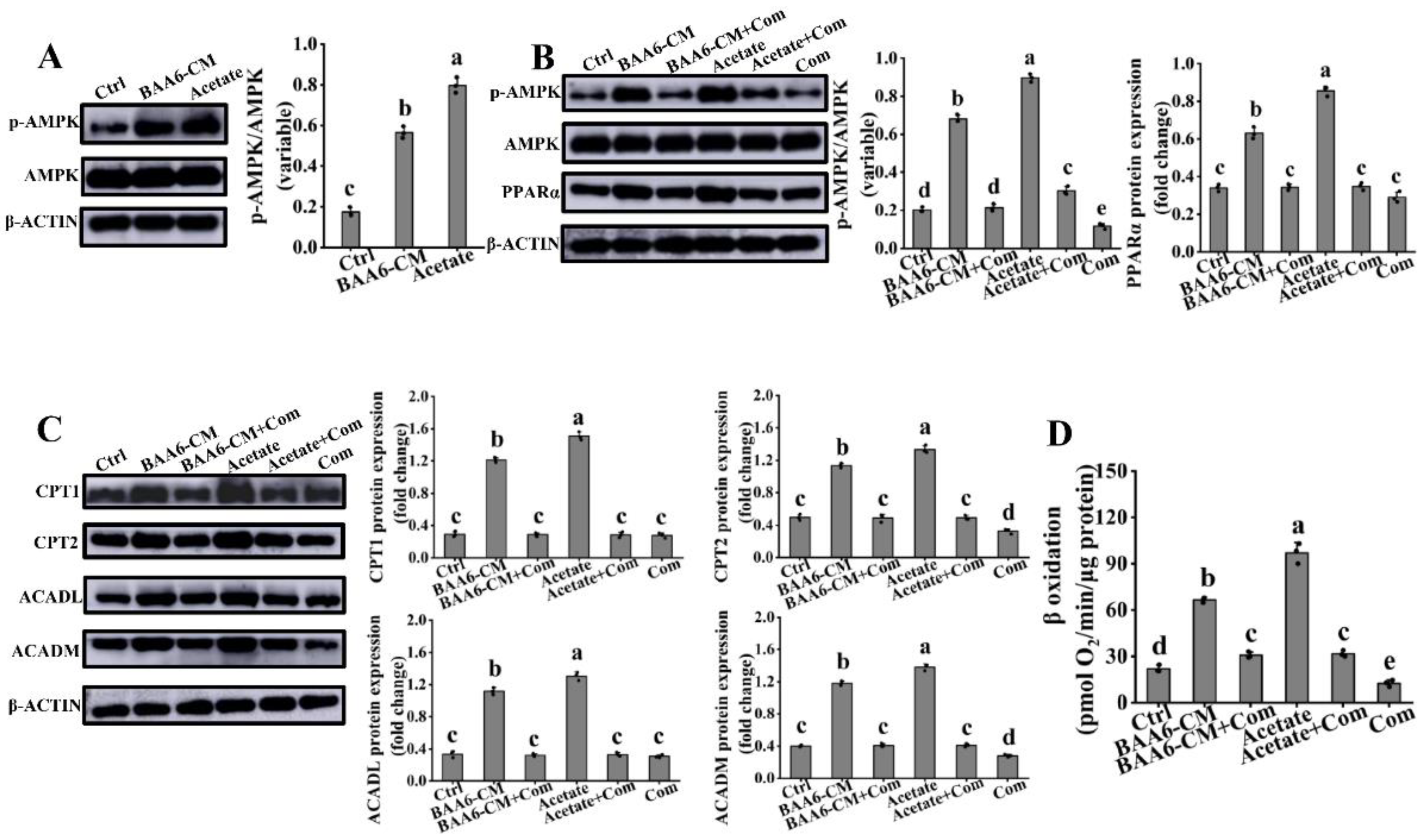 Nutrients 14 00598 g006