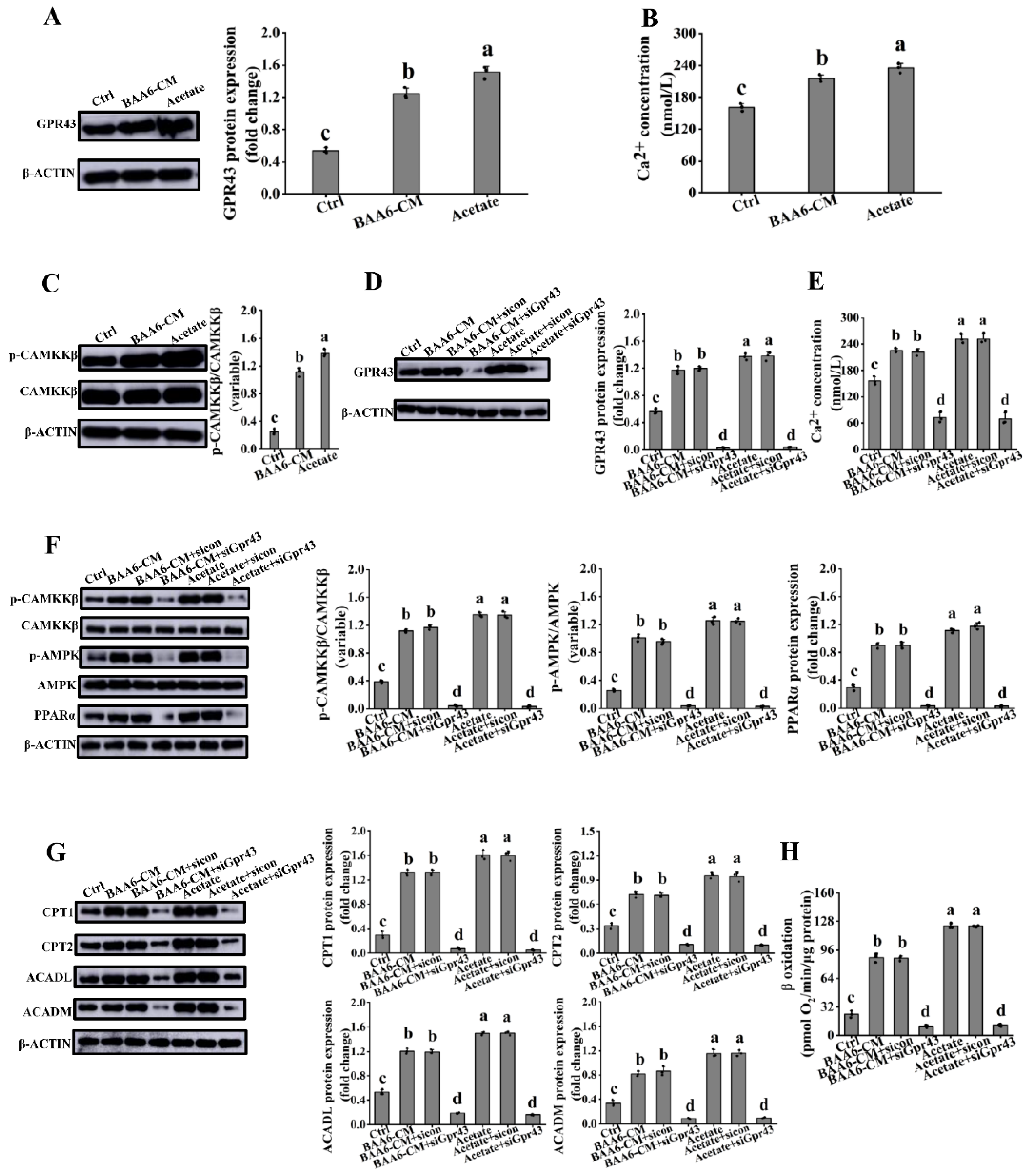 Nutrients 14 00598 g007