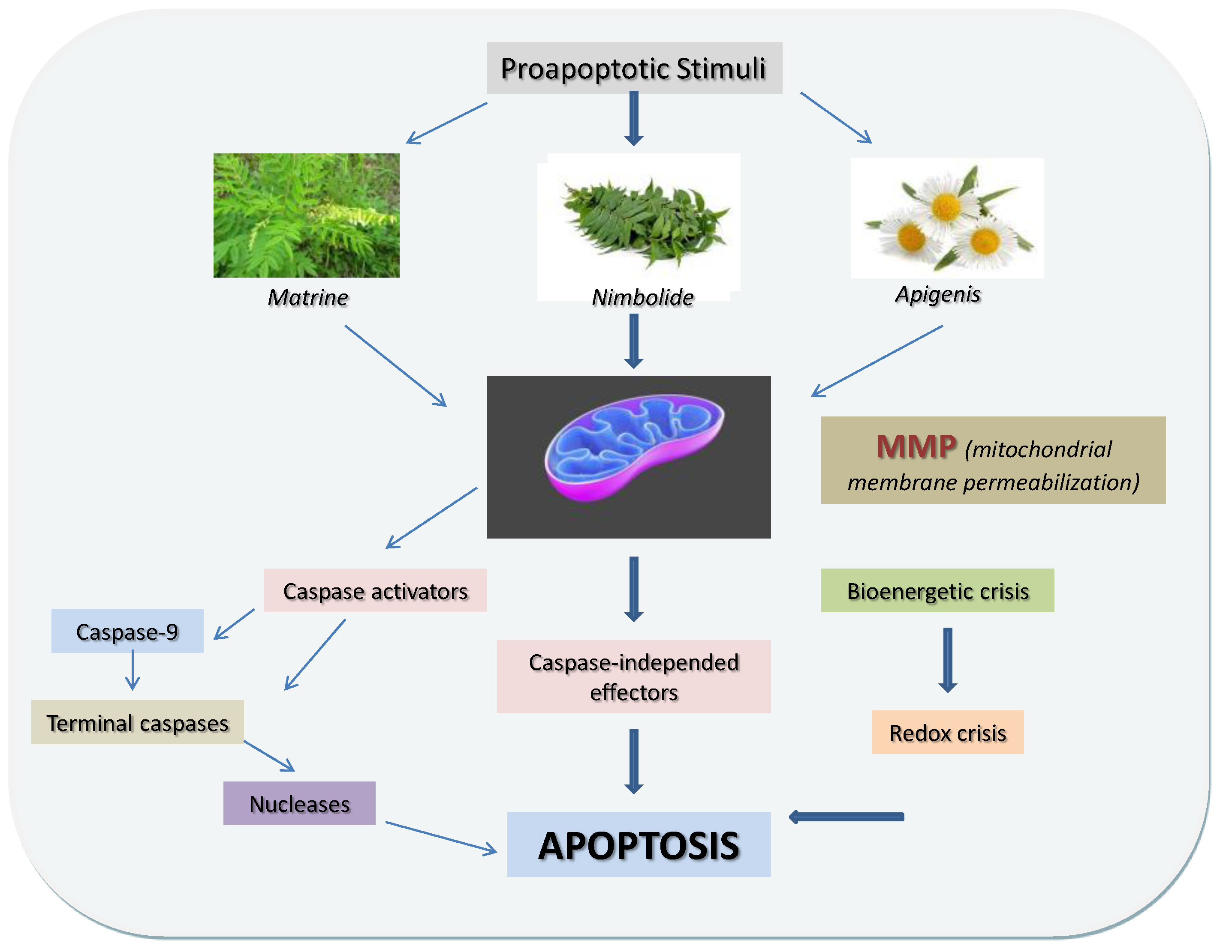 Nutrients Free Full Text Herbals and Plants in the Treatment