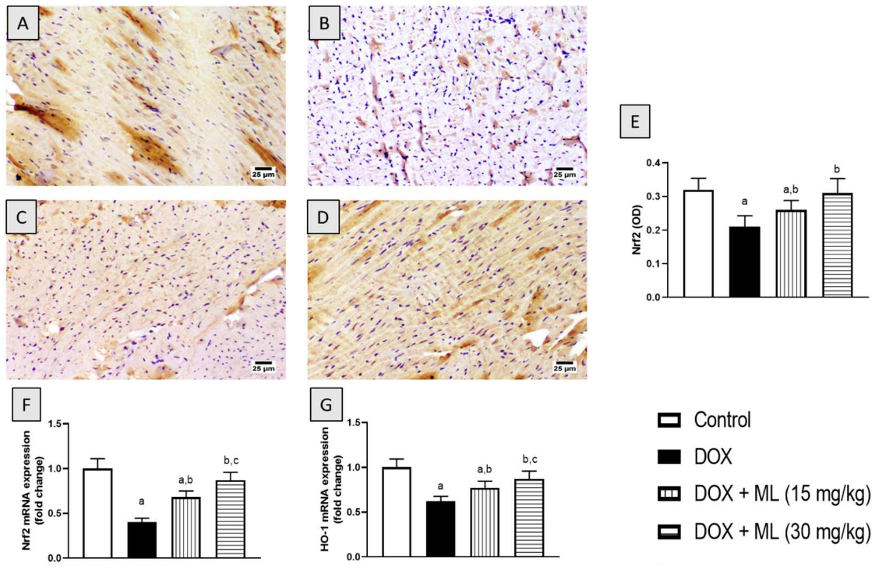 Nutrients 14 00733 g005