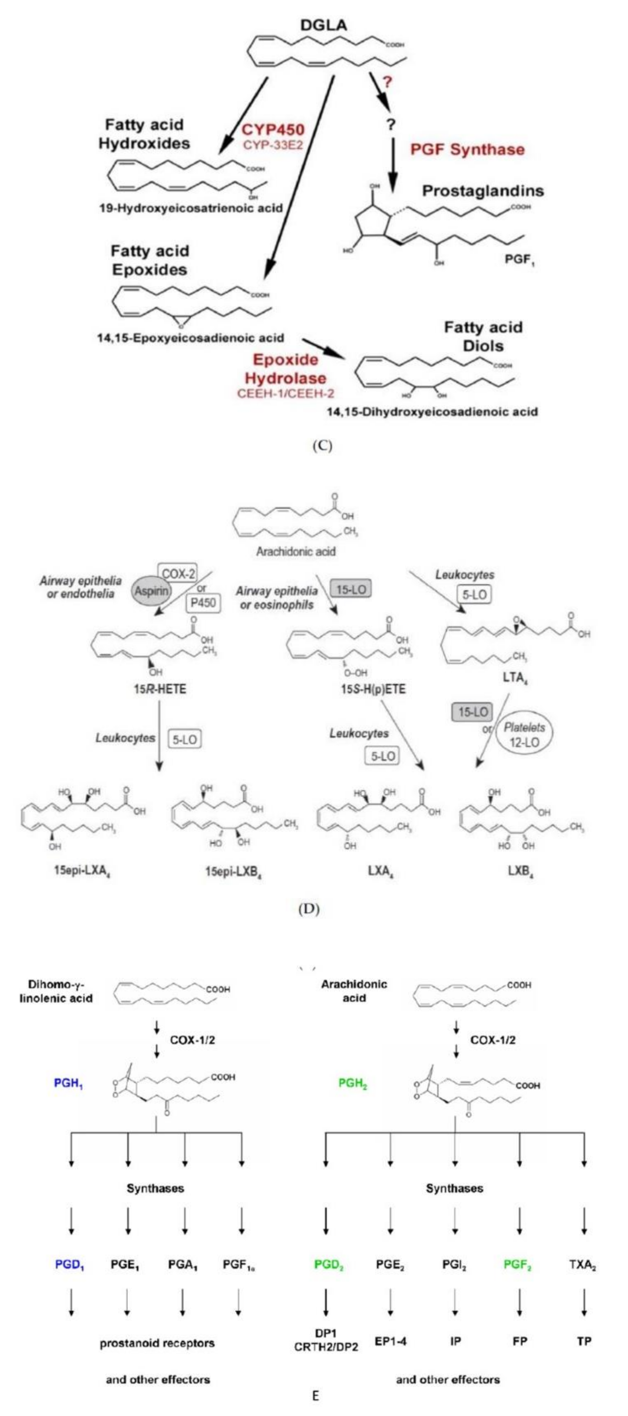 Nutrients 14 00749 g005b Nutrients 14 00749 g005b