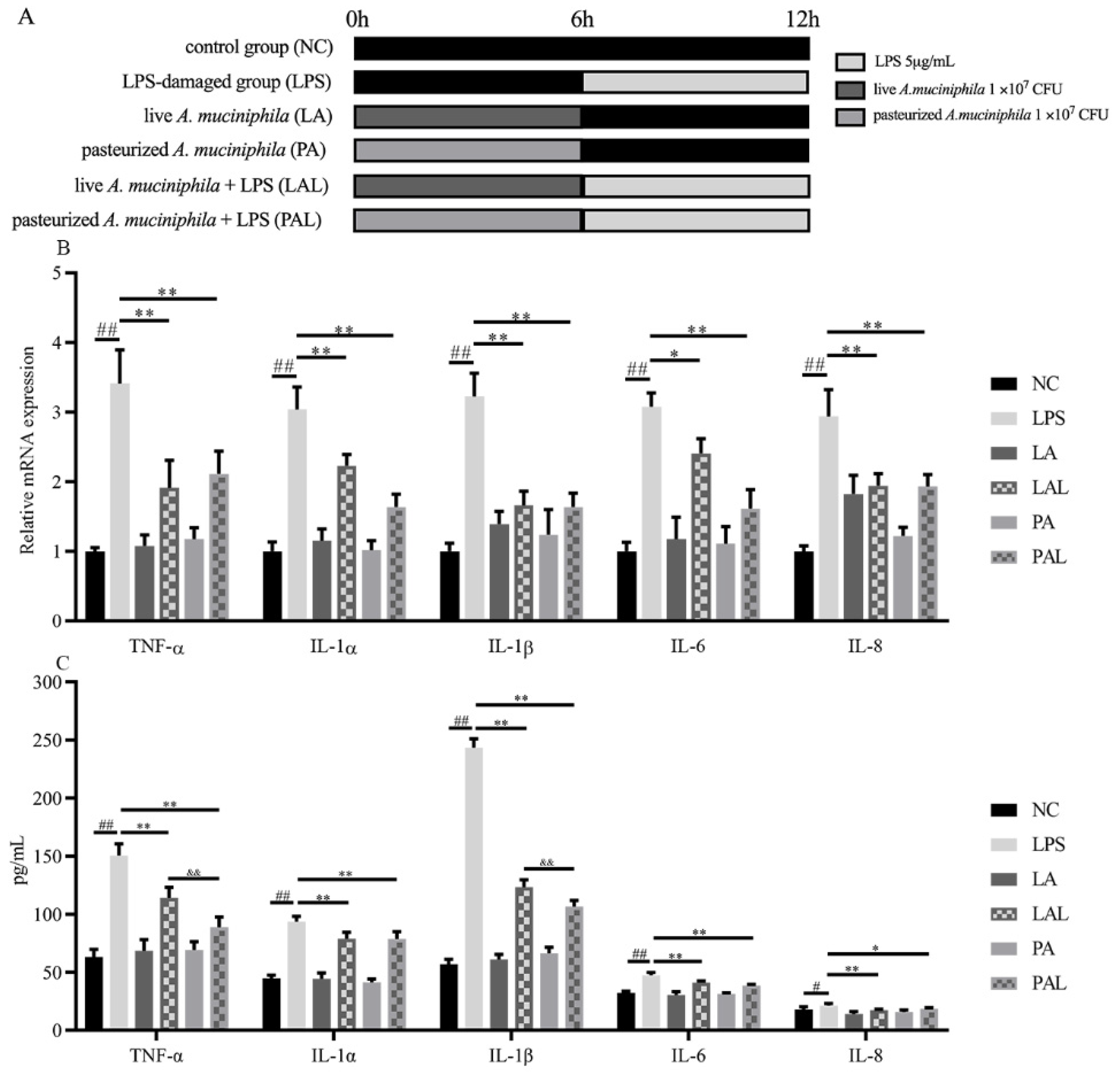 Nutrients 14 00764 g001a