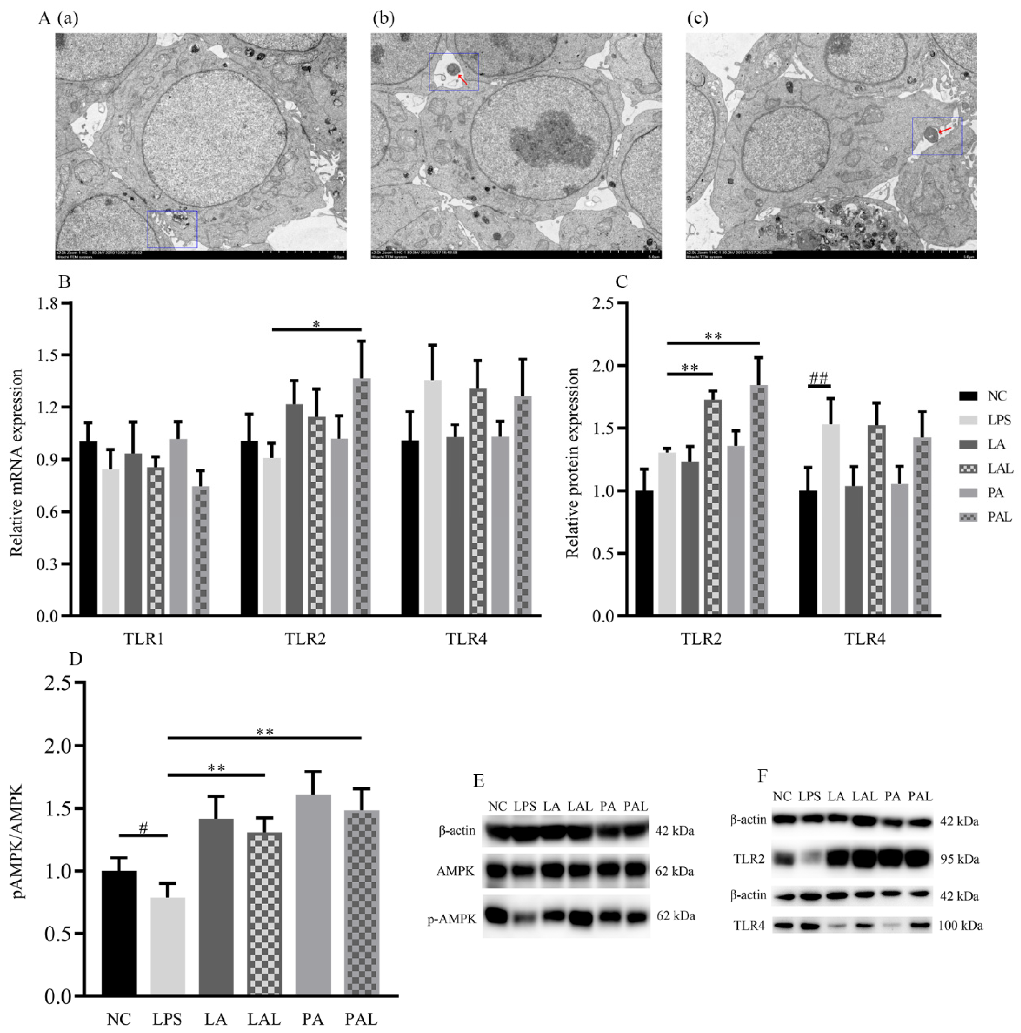 Nutrients 14 00764 g004a