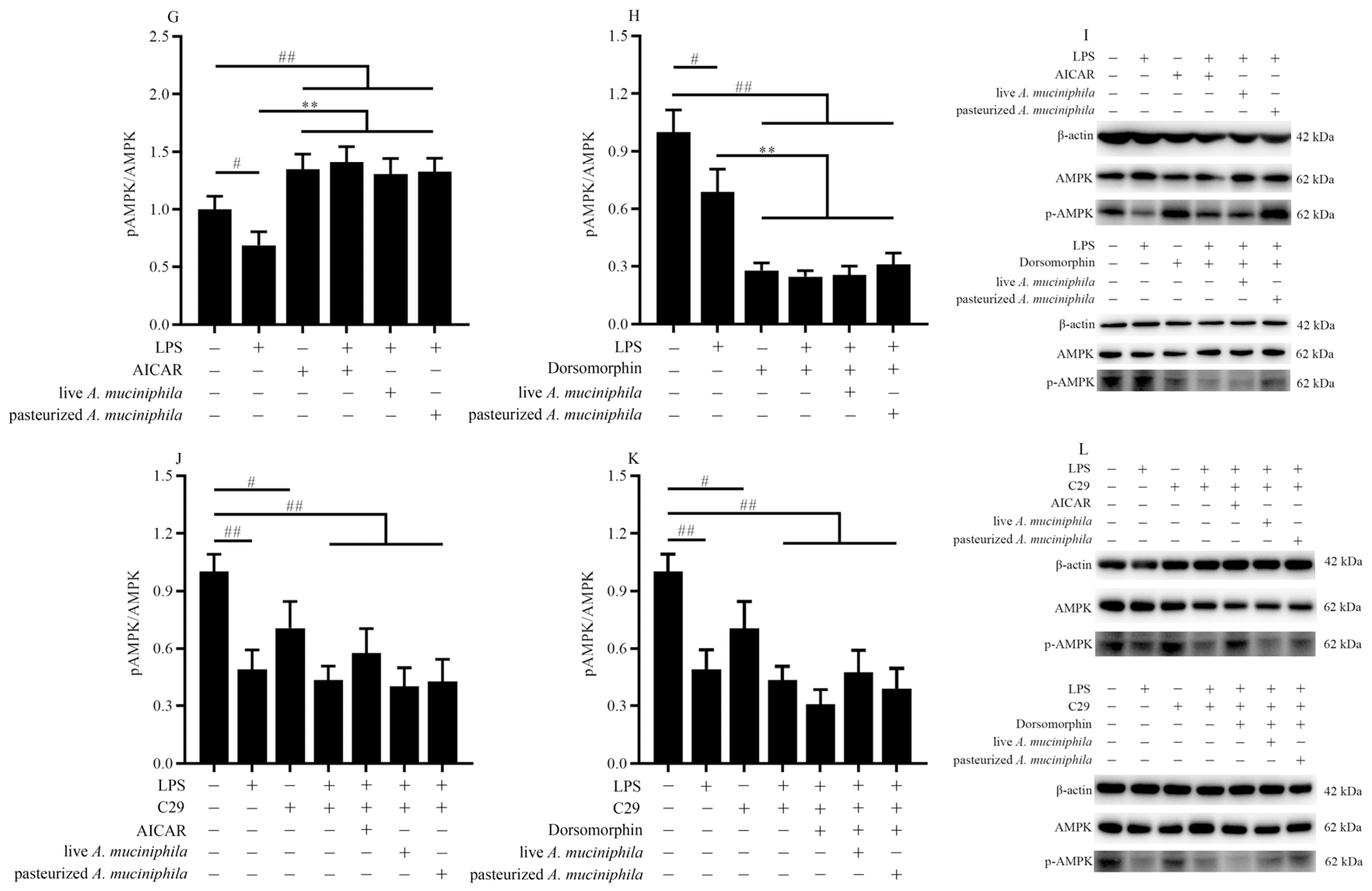 Nutrients 14 00764 g004b