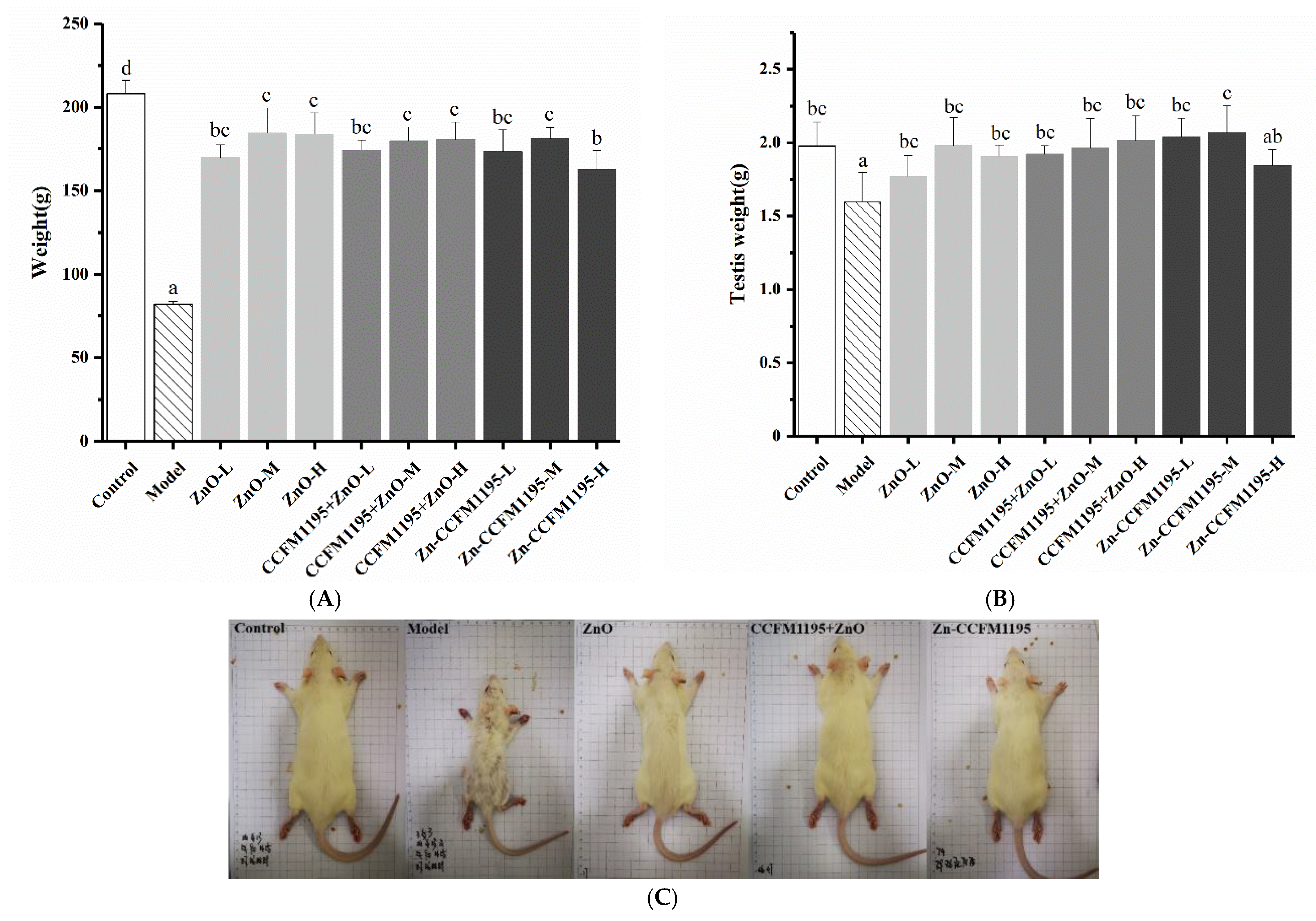 Nutrients 14 00783 g002