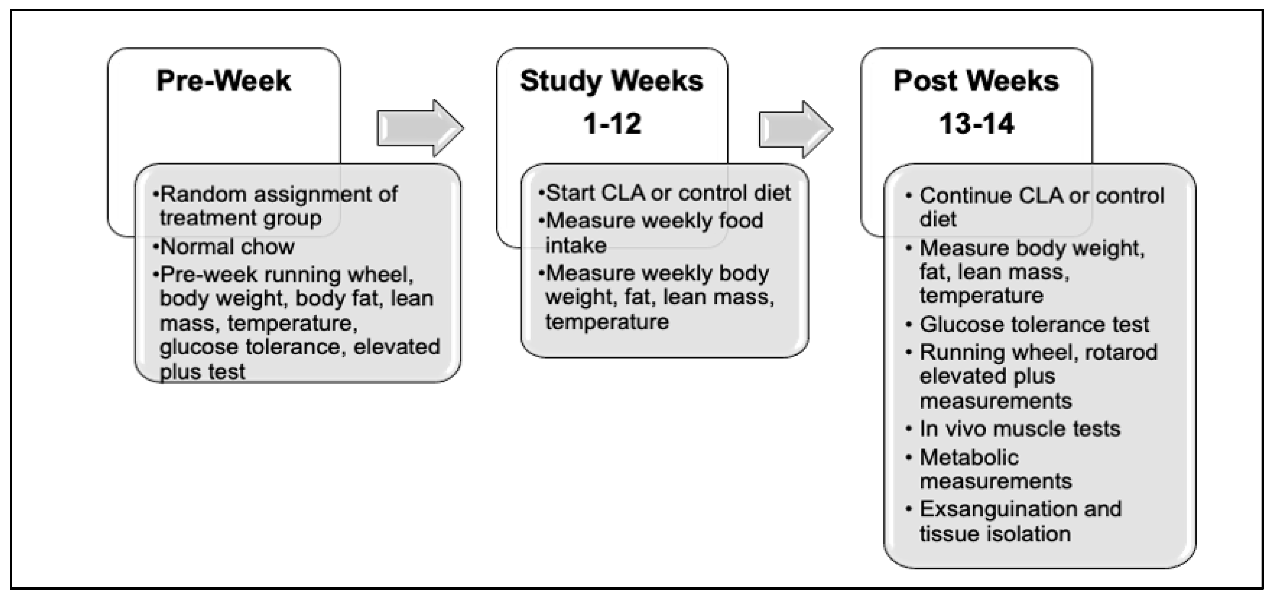 Nutrients | Free Full-Text | Dietary Conjugated Linoleic Acid Reduces Body  Weight and Fat in Snord116m+/p&minus; and Snord116m&minus;/p&minus; Mouse  Models of Prader&ndash;Willi Syndrome