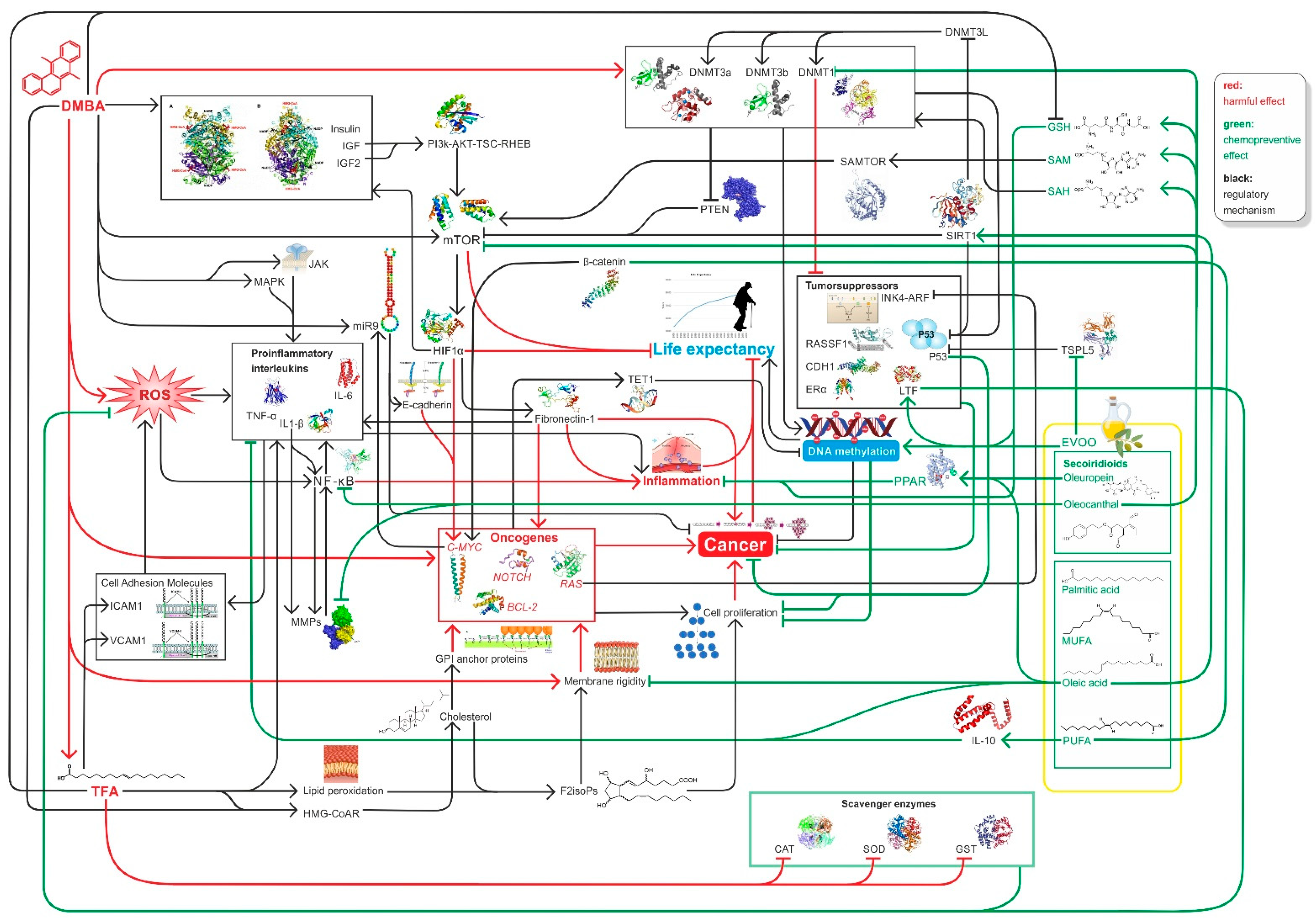 Nutrients 14 00908 g004