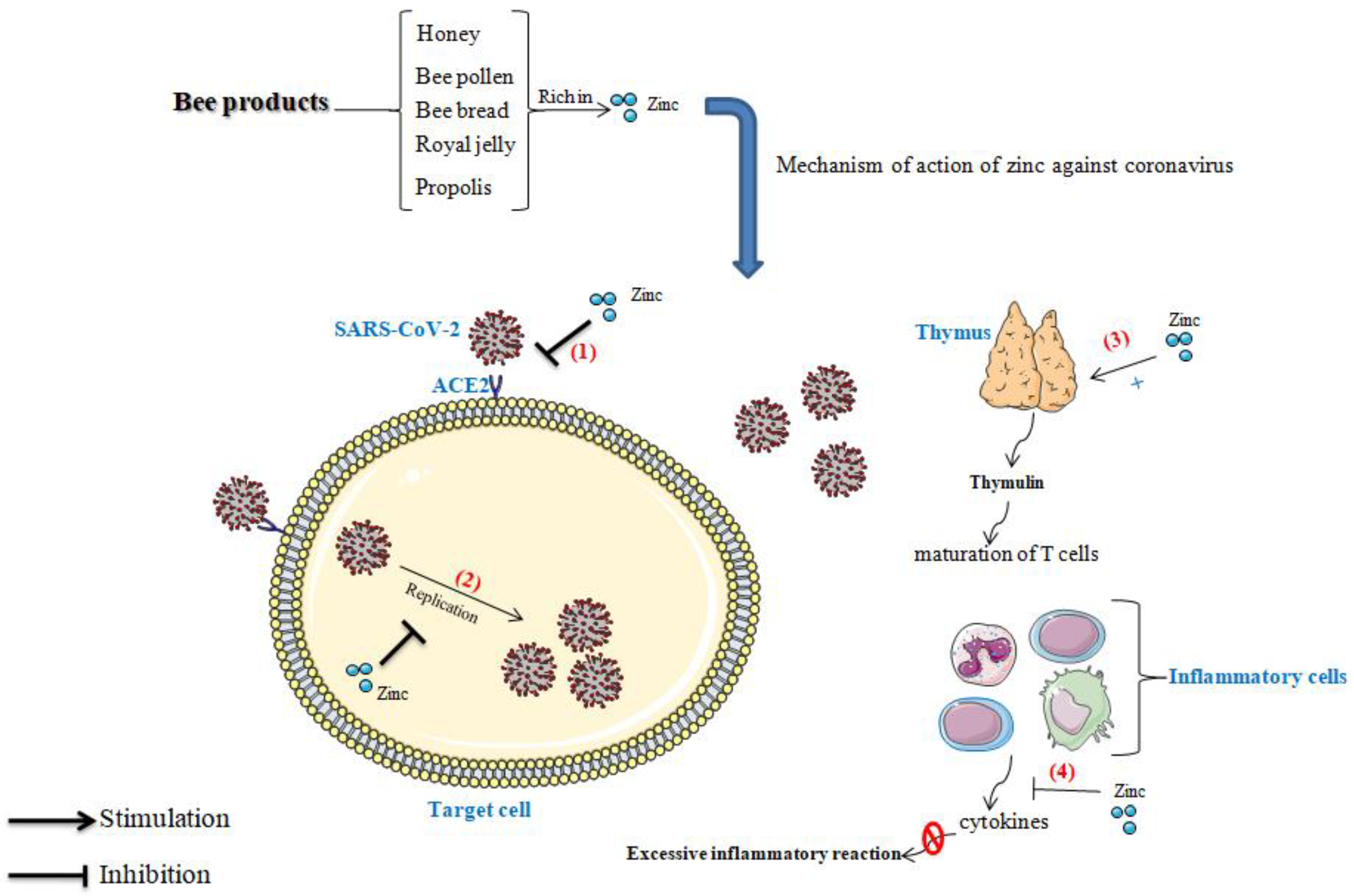 Nutrients 14 00942 g002