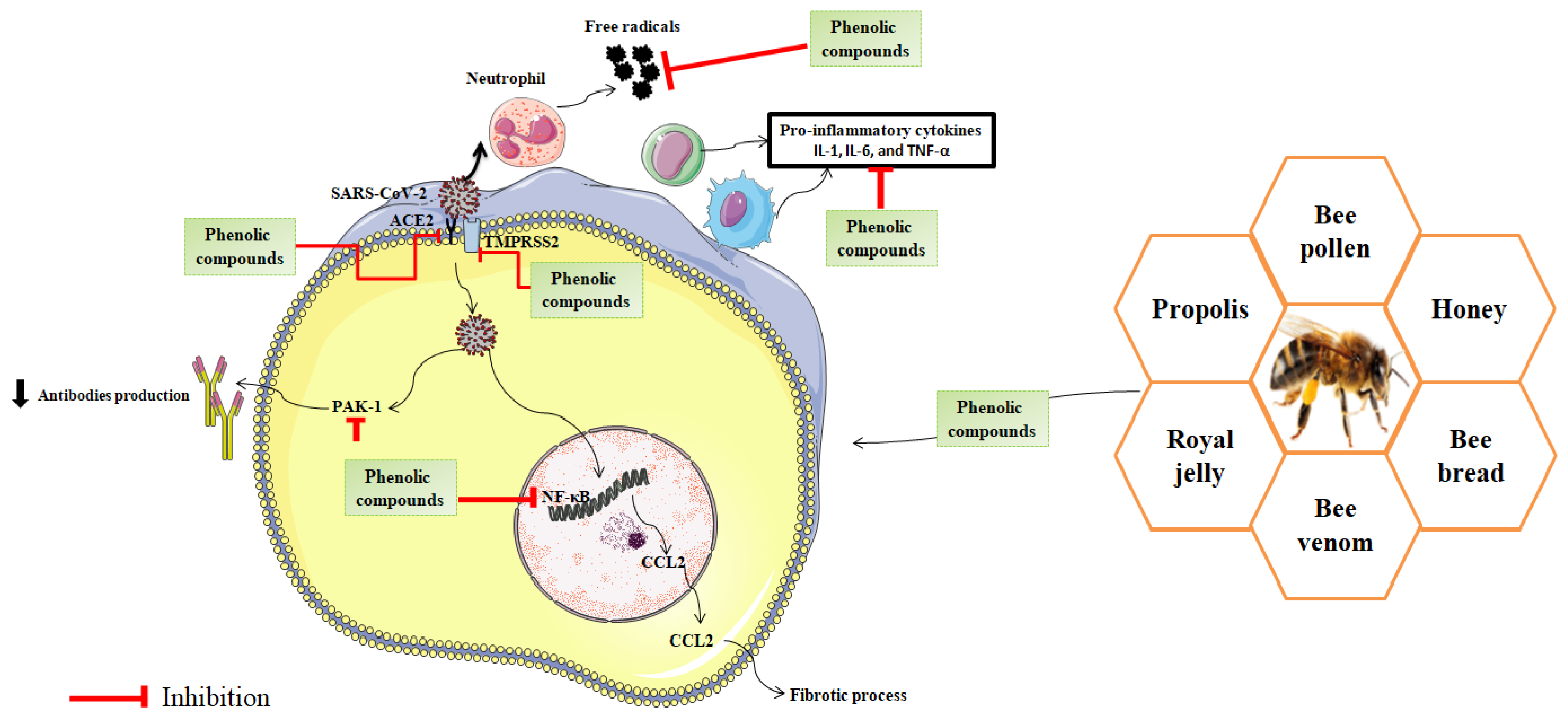 Nutrients 14 00942 g003
