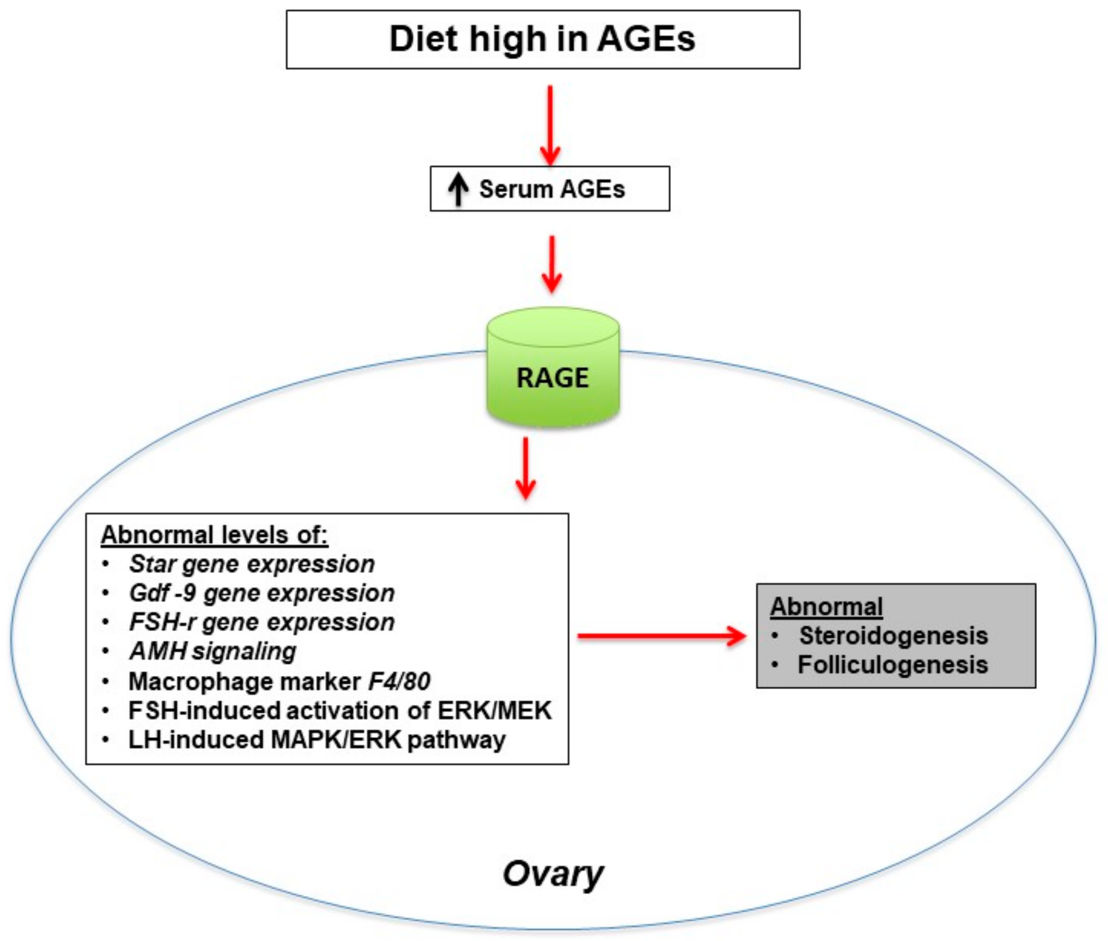 Nutrients 14 00966 g003
