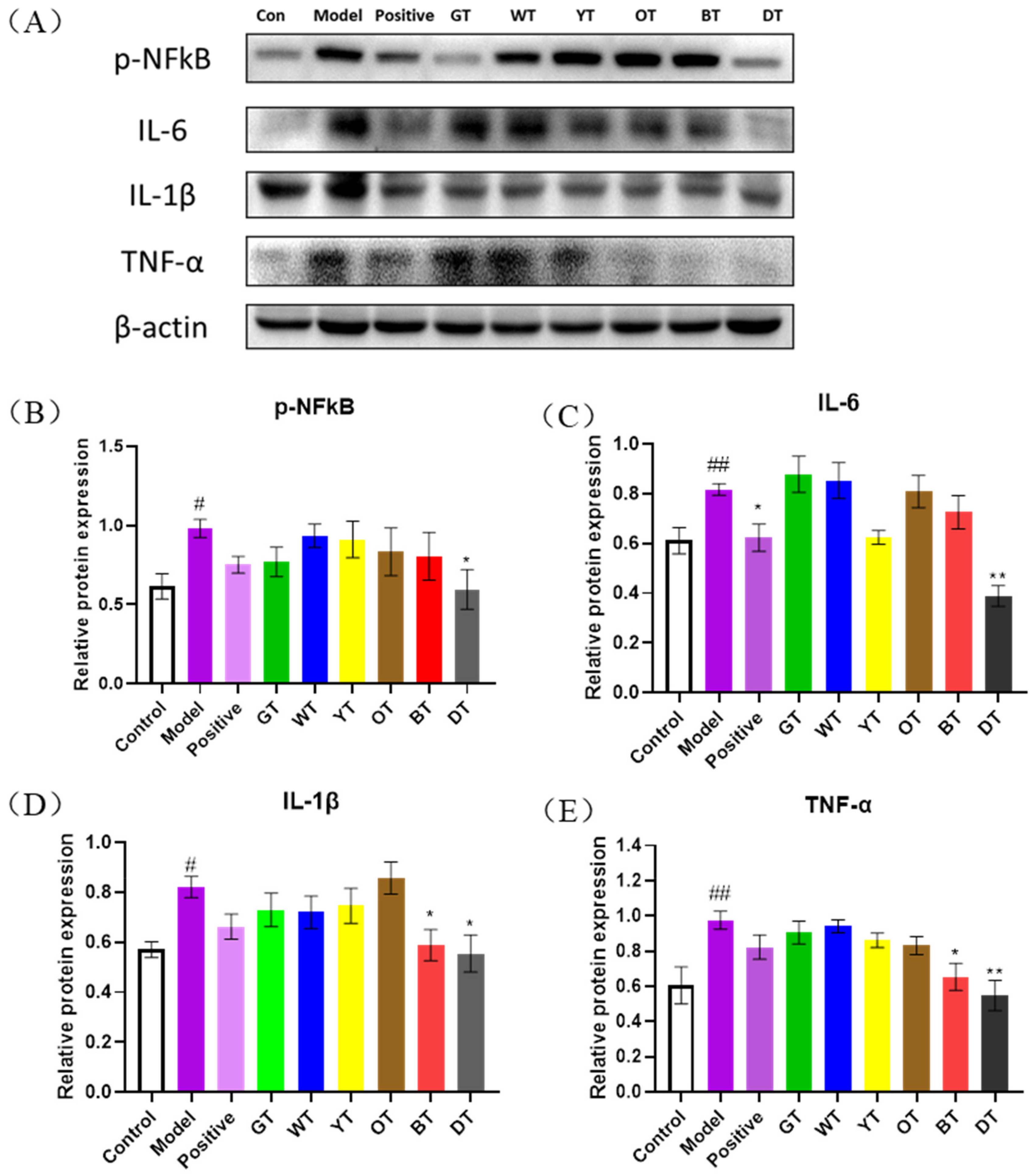Nutrients 14 00972 g005