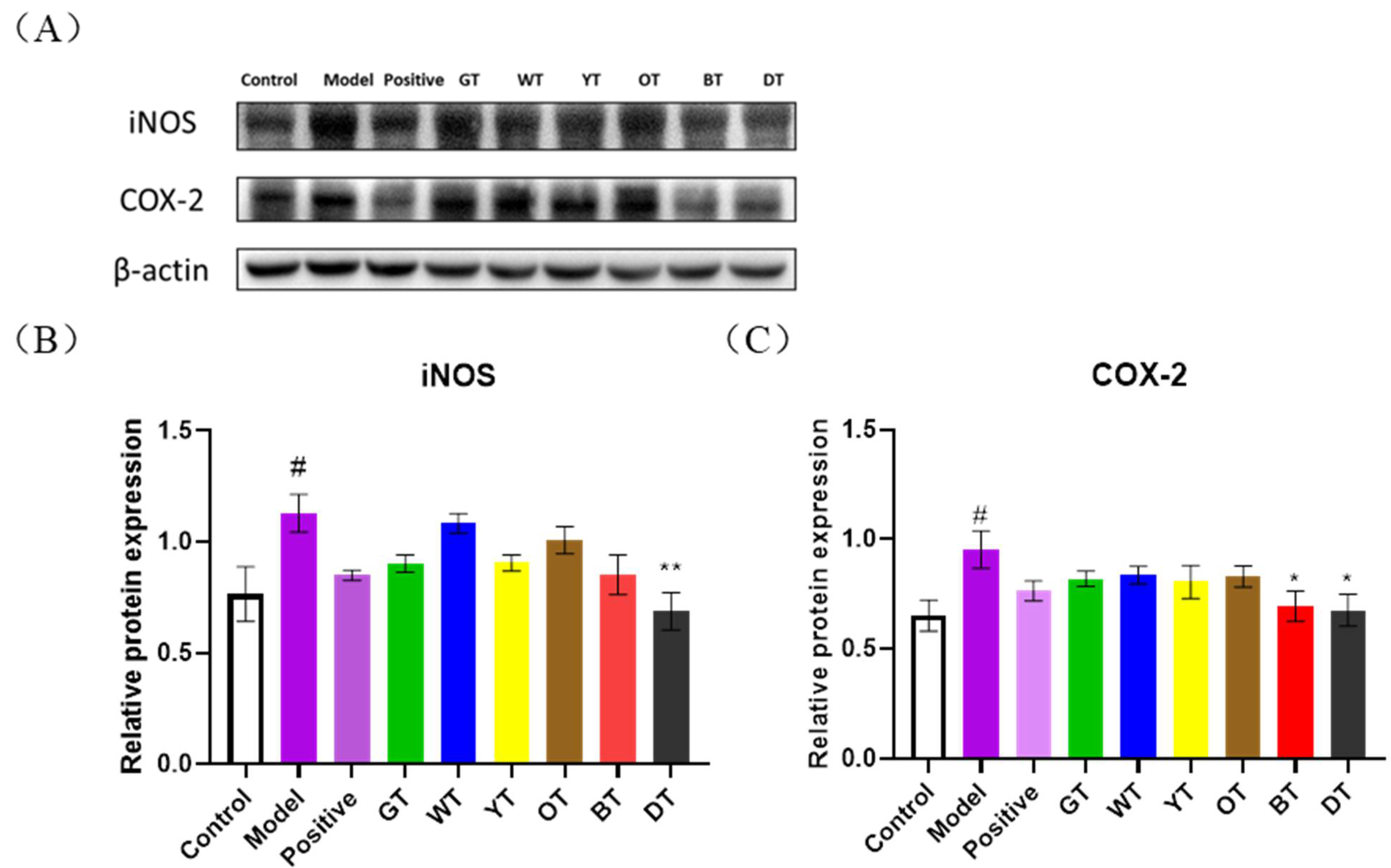 Nutrients 14 00972 g006