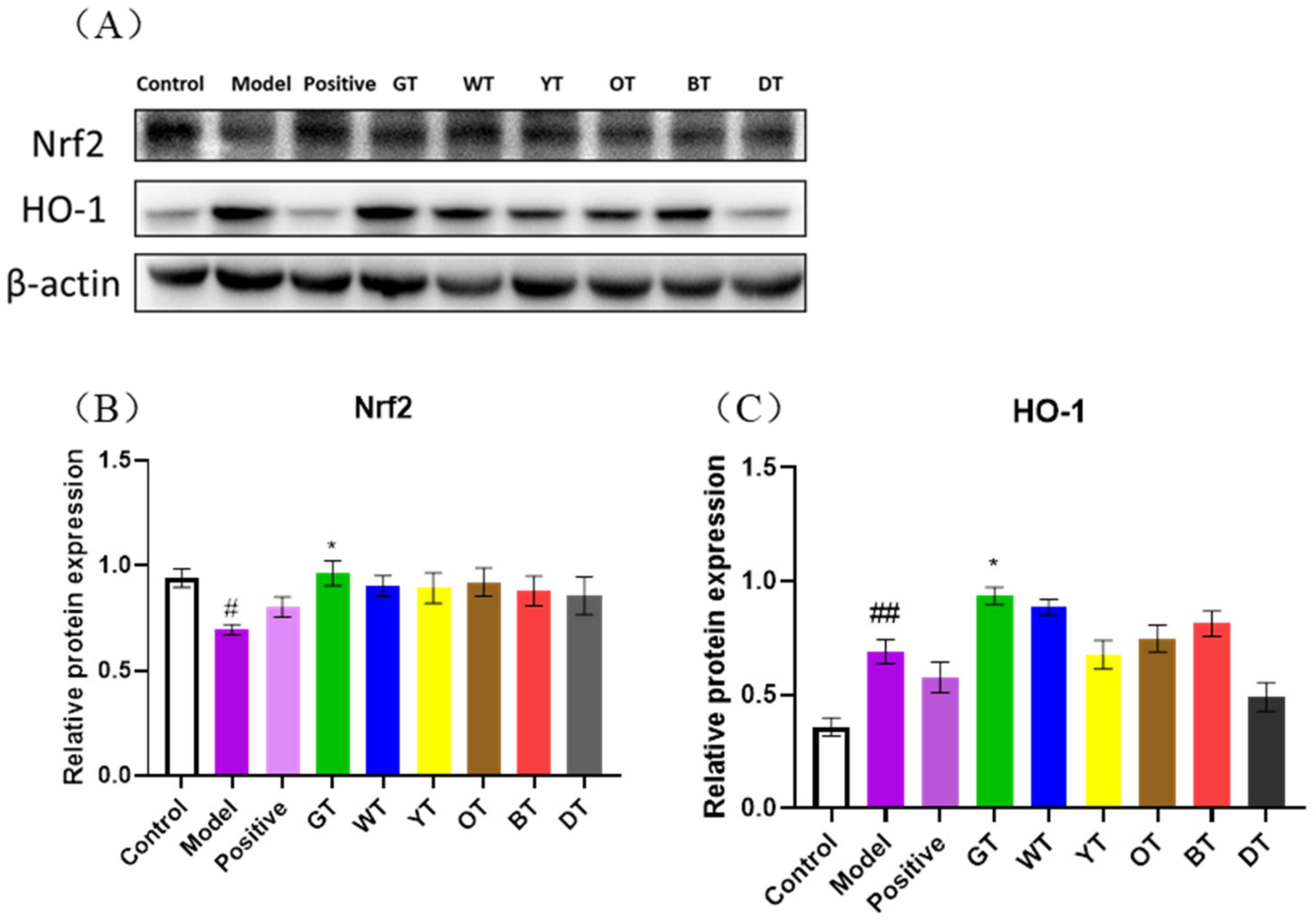 Nutrients 14 00972 g008