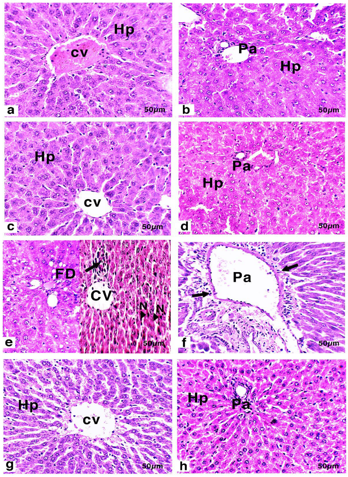 Nutrients 14 01025 g002