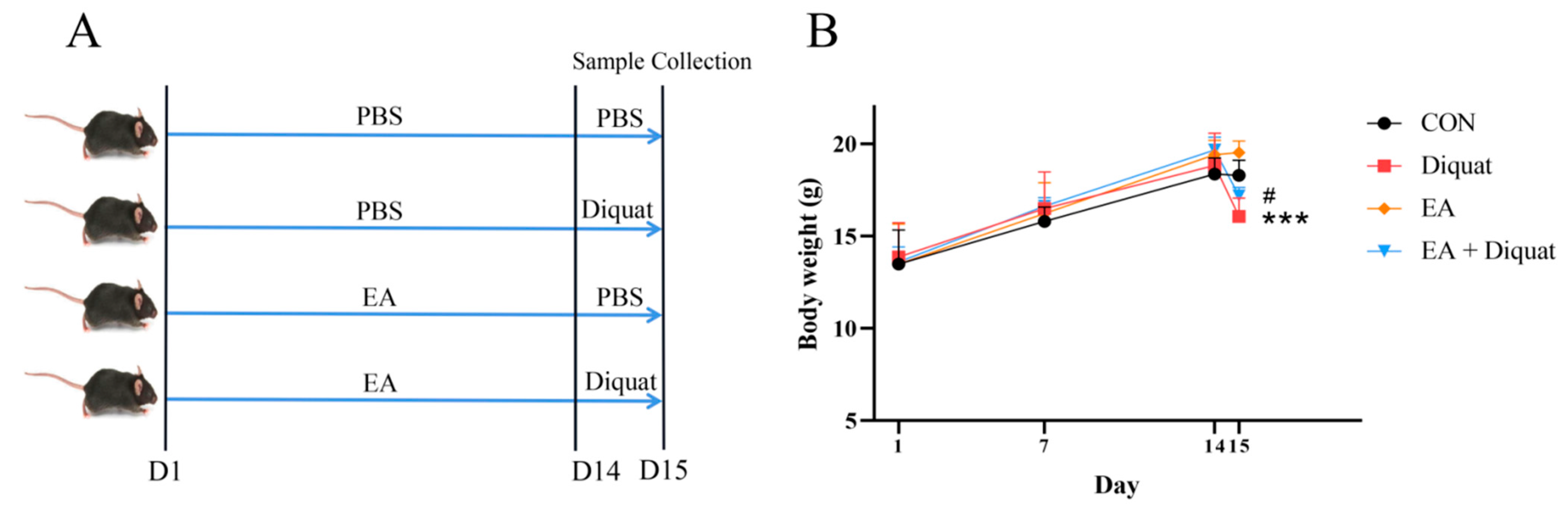 Nutrients 14 01103 g005a