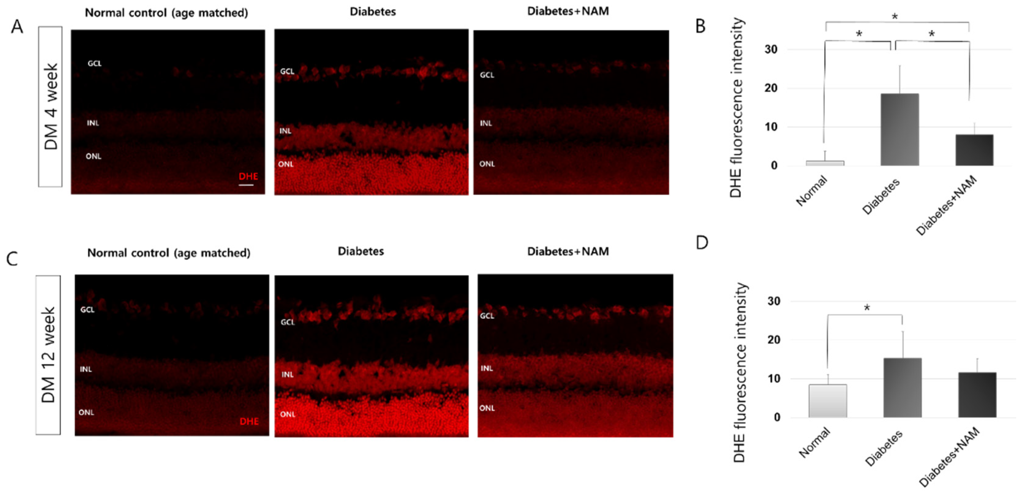Nutrients 14 01162 g004