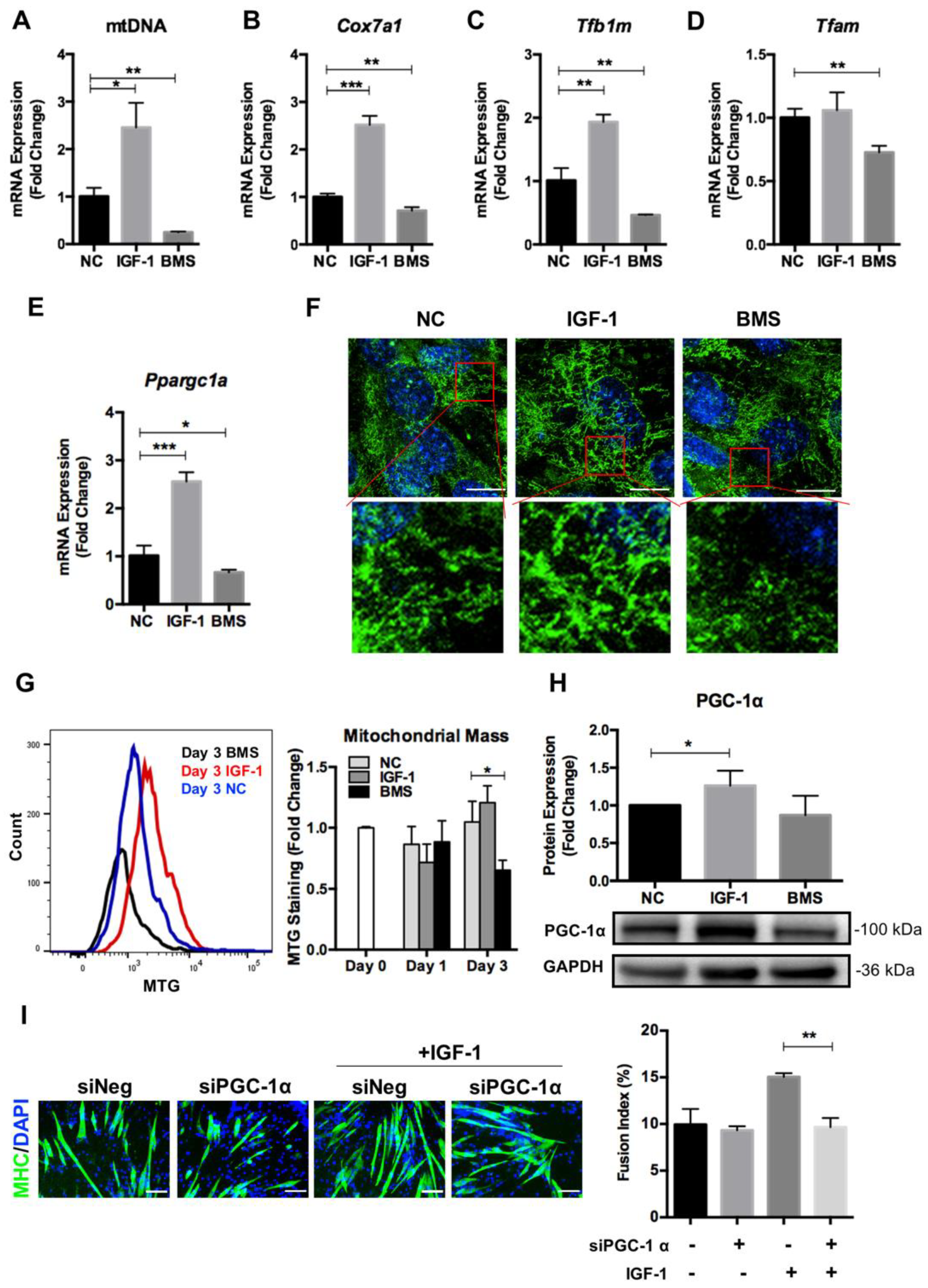 Nutrients 14 01249 g003