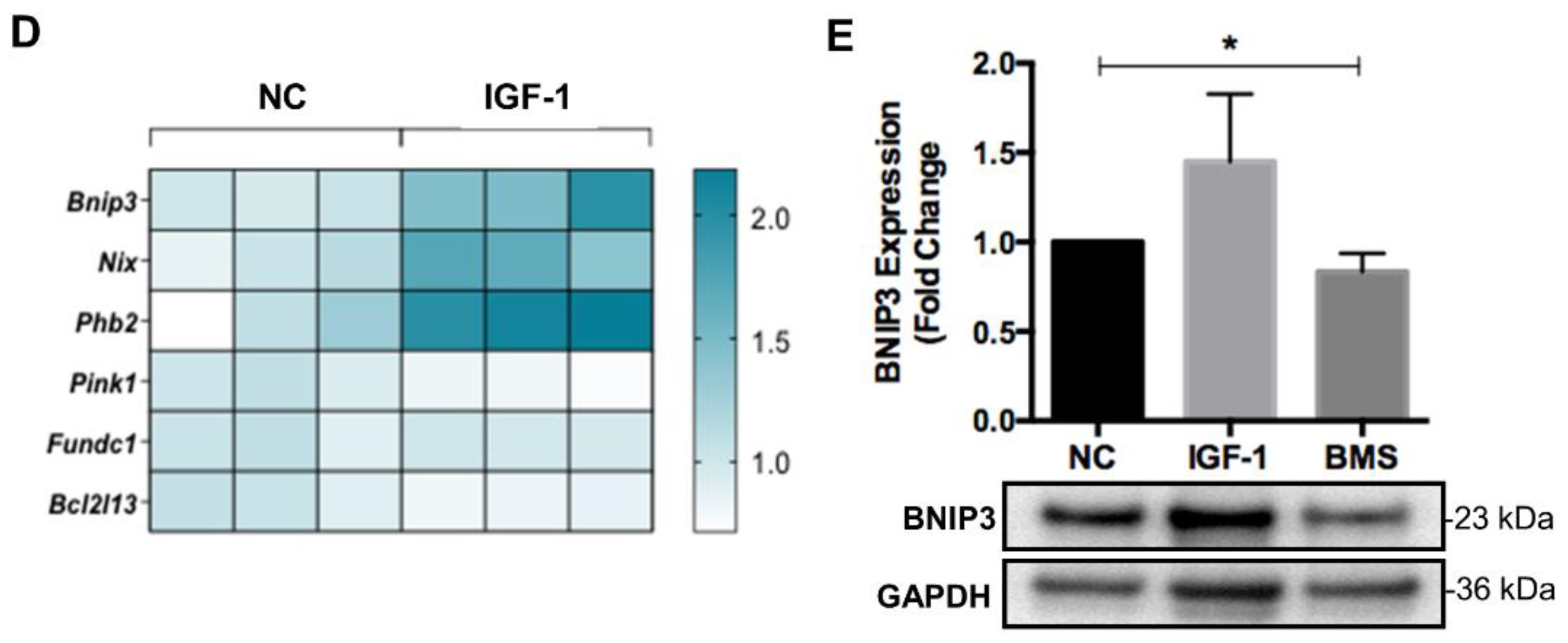 Nutrients 14 01249 g004b