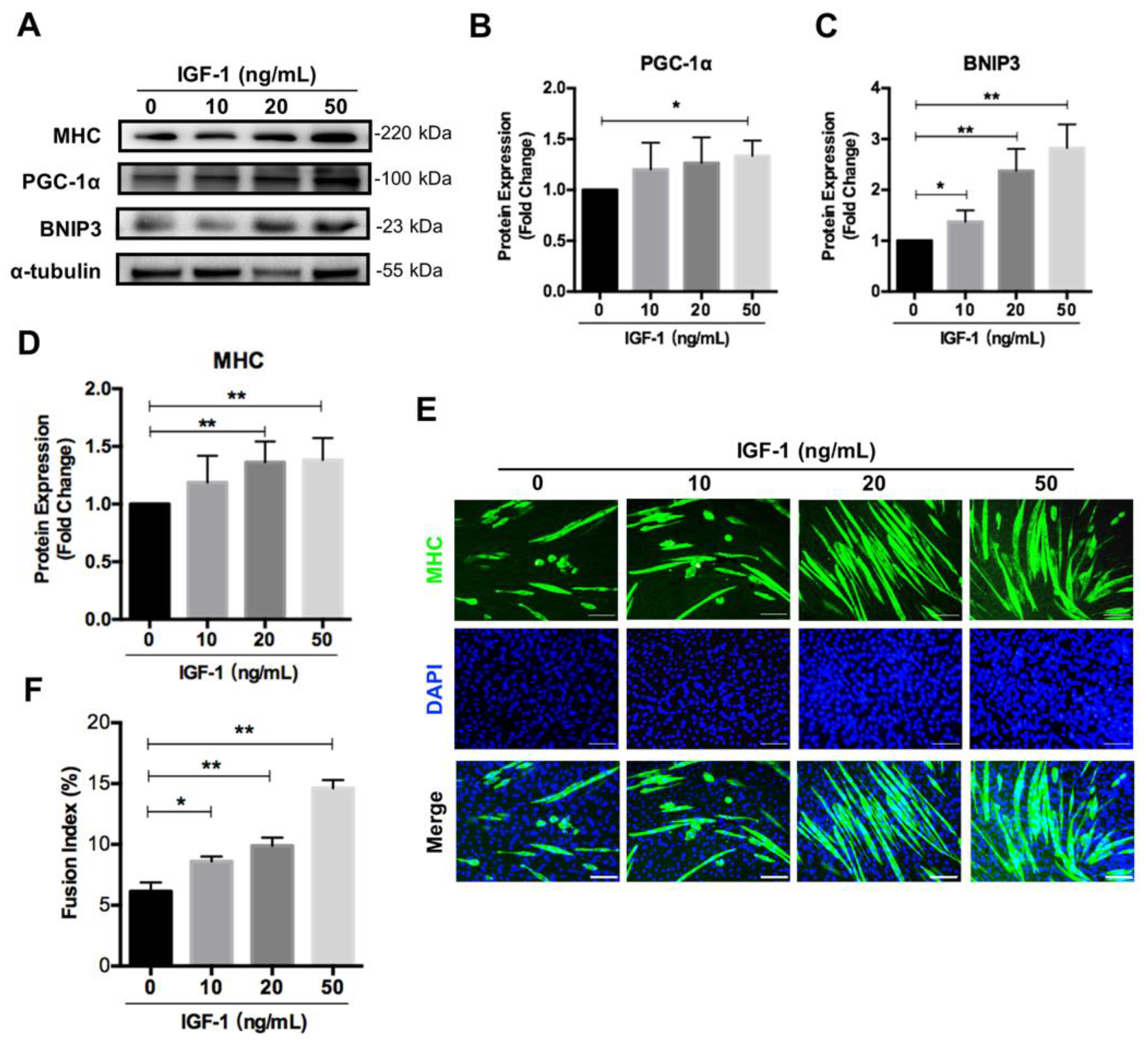 Nutrients 14 01249 g005
