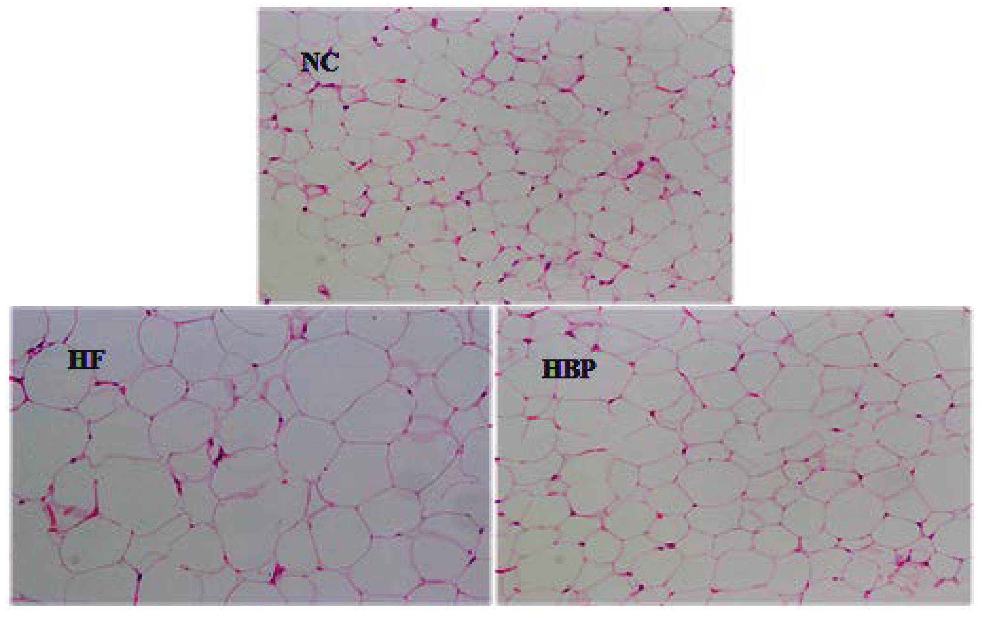 Nutrients 14 01277 g002