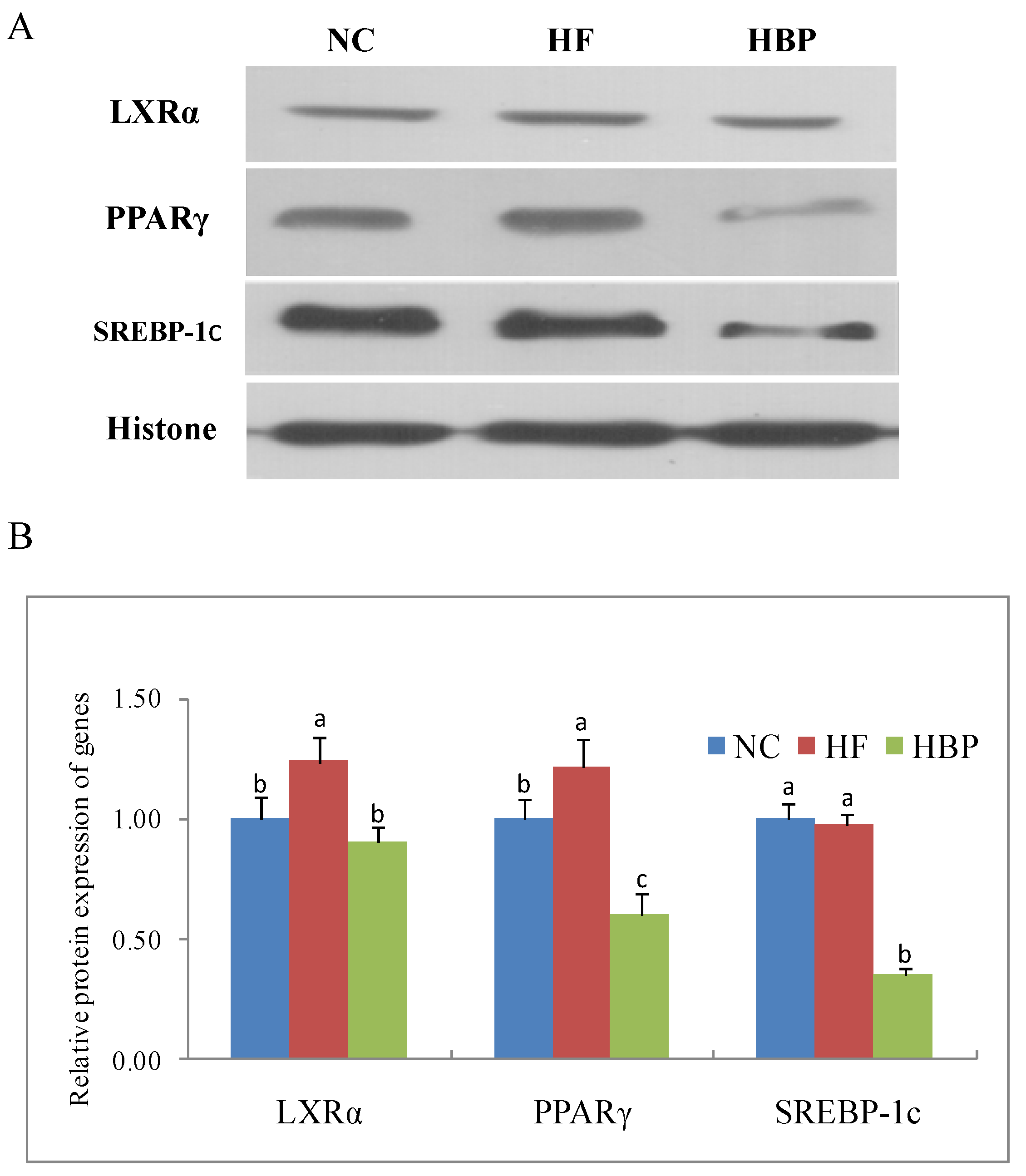 Nutrients 14 01277 g005