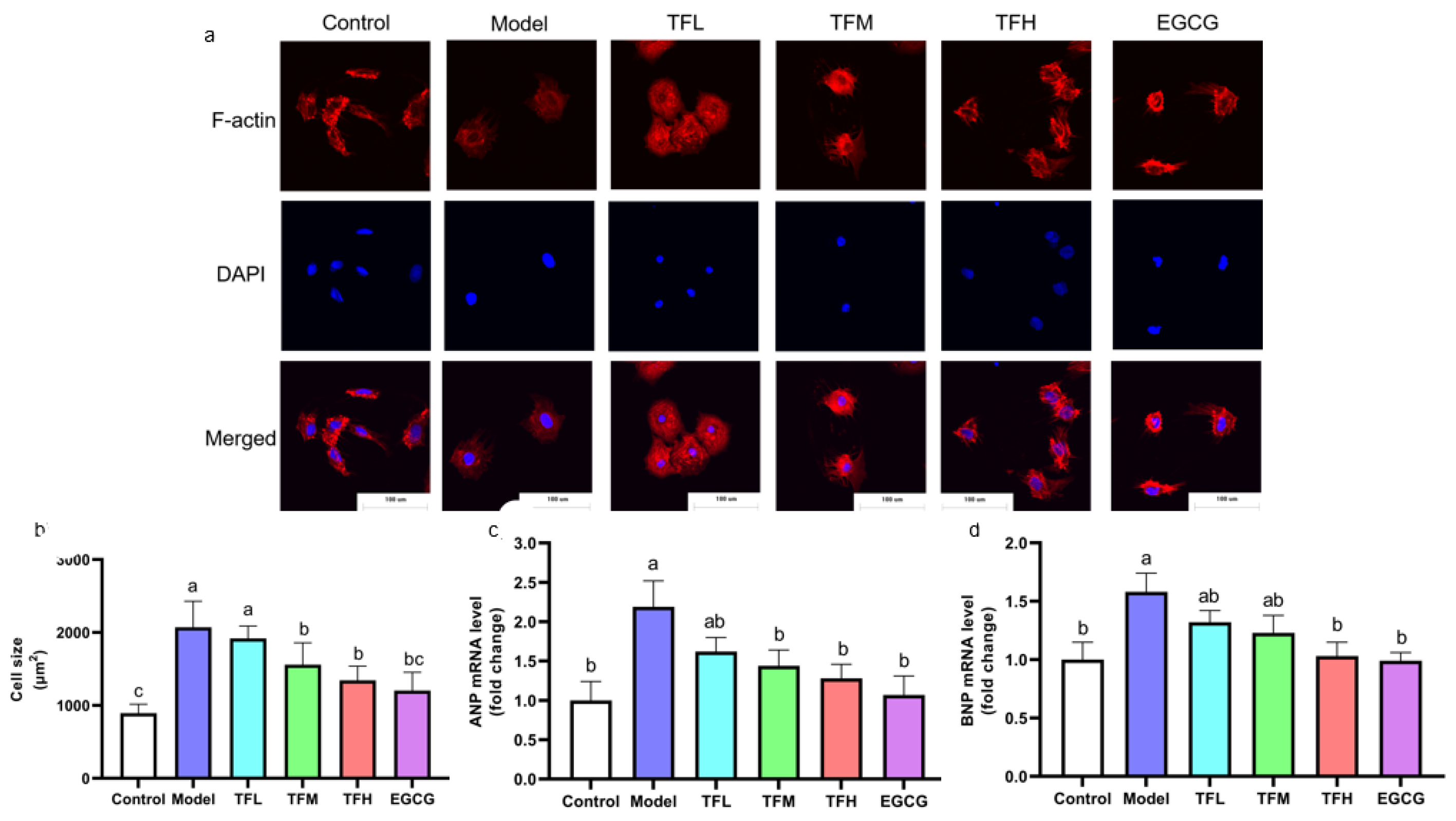 Nutrients 14 01391 g003 Nutrients 14 01391 g003