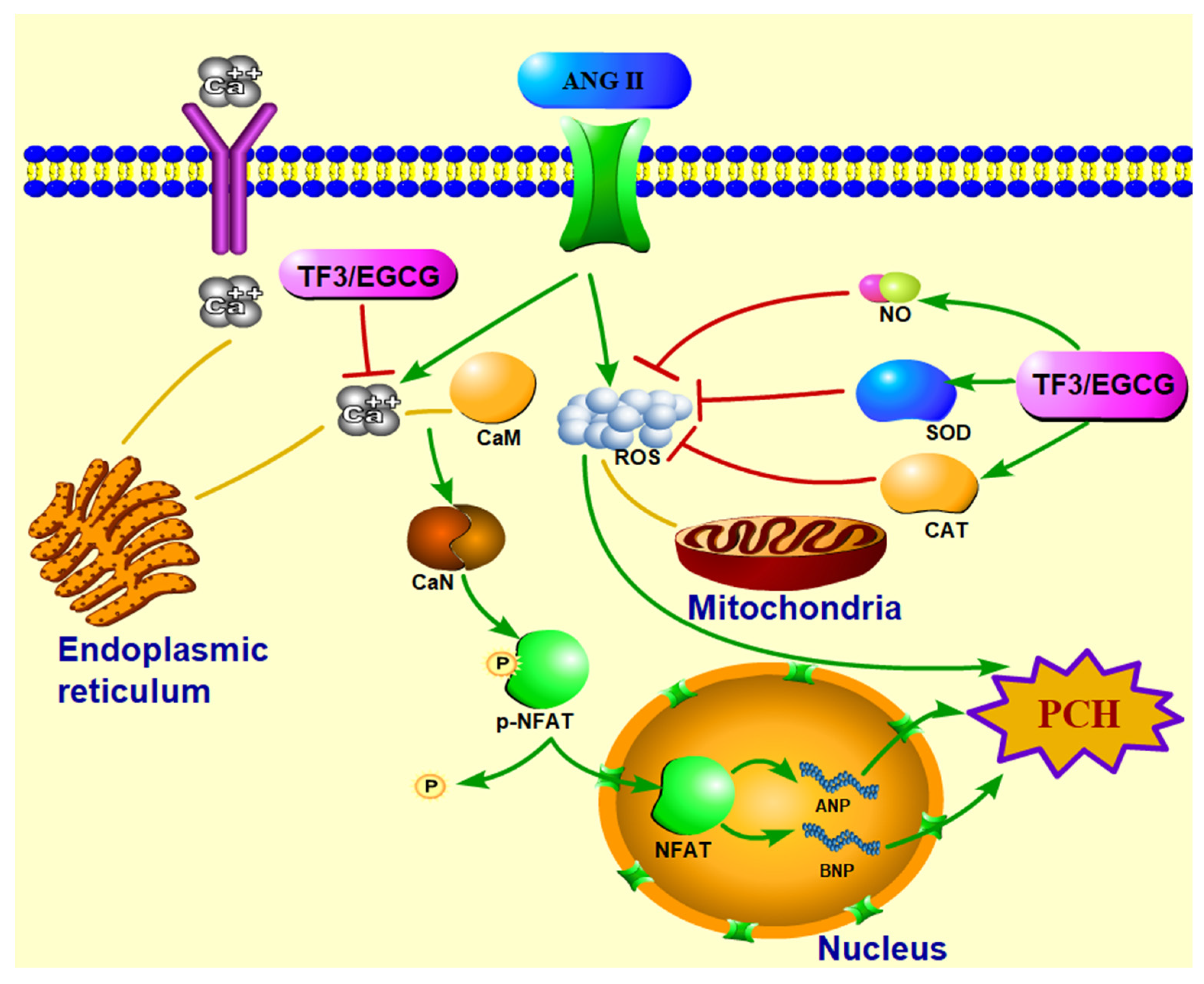 Nutrients 14 01391 g007 Nutrients 14 01391 g007