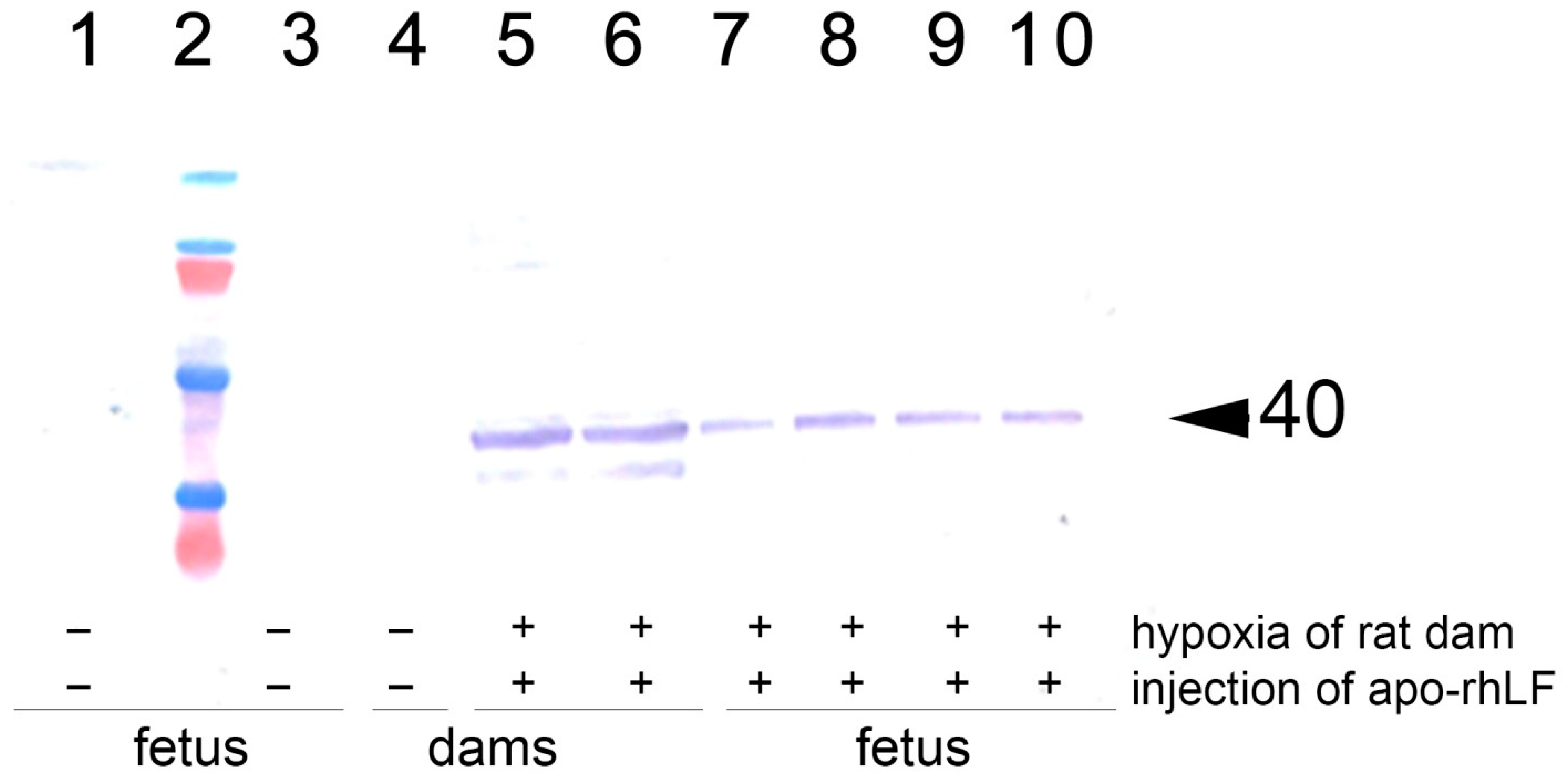 Nutrients 14 01399 g002