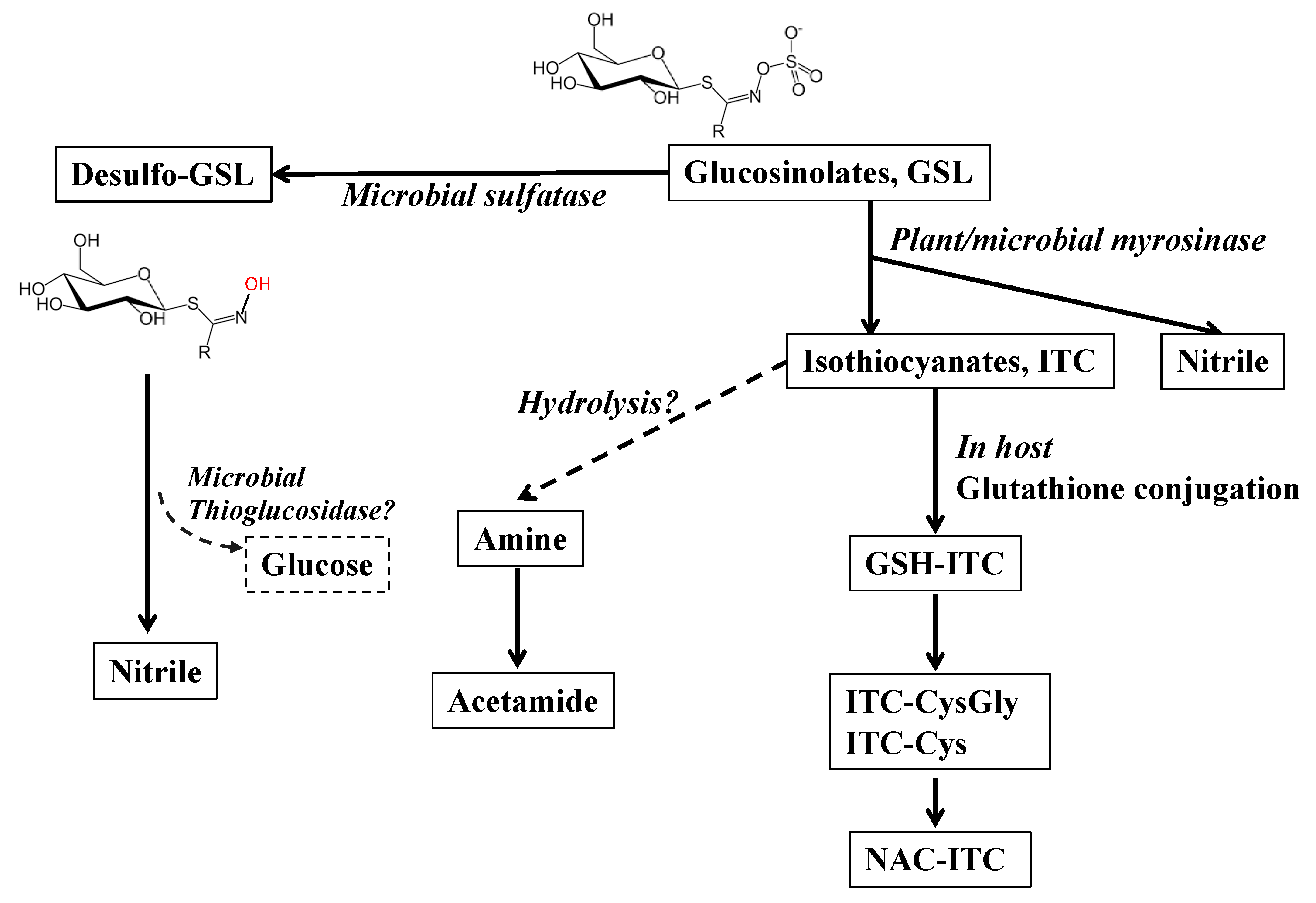 Nutrients 14 01434 g002