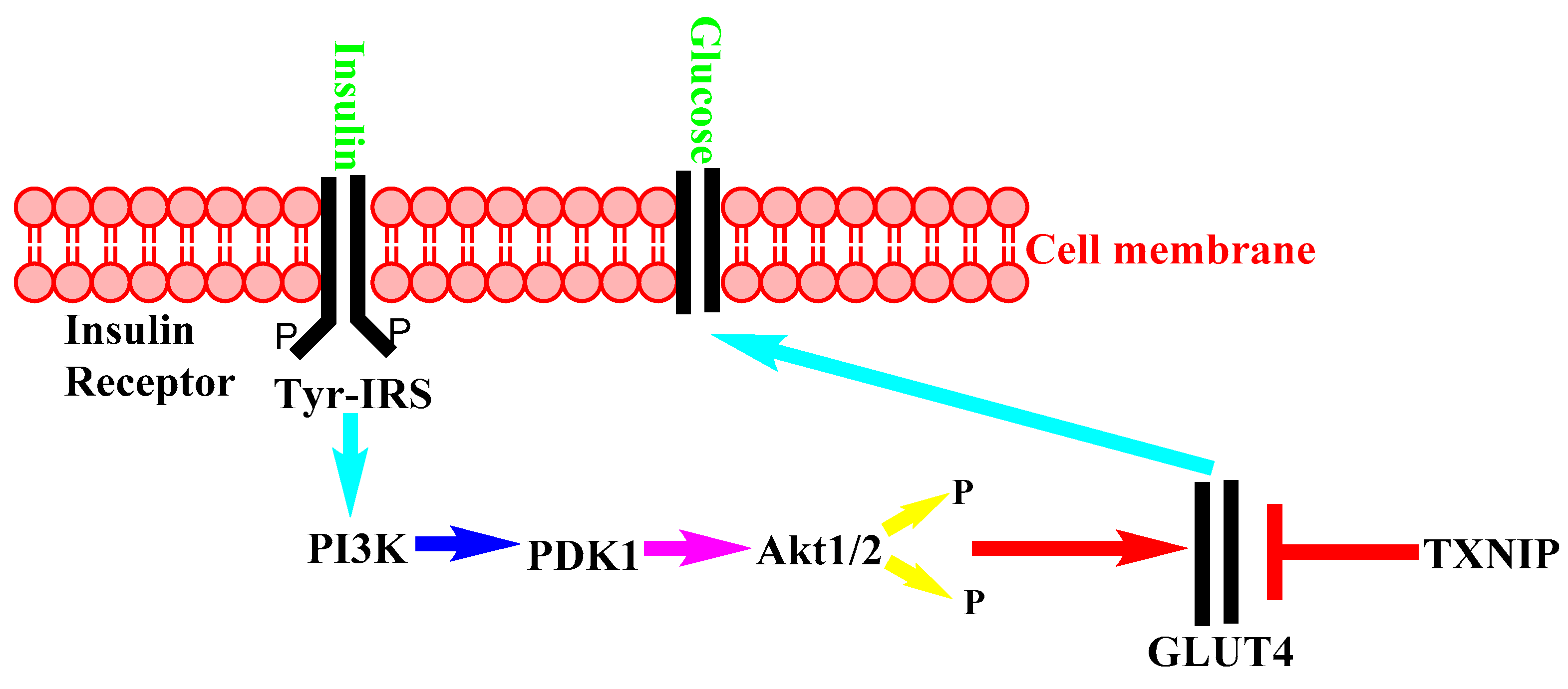 Nutrients 14 01453 g002 Nutrients 14 01453 g002