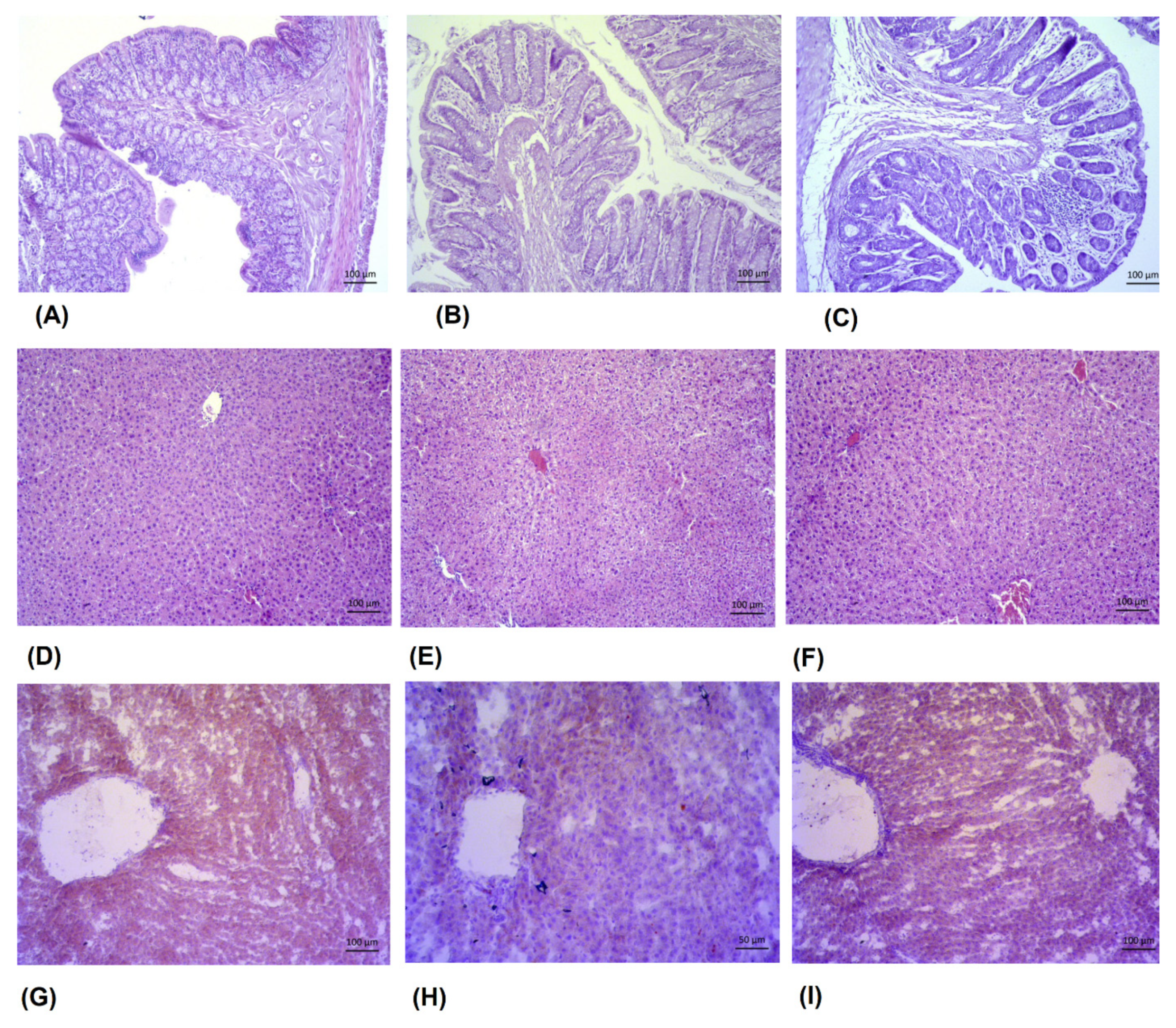 Nutrients 14 01465 g011 Nutrients 14 01465 g011
