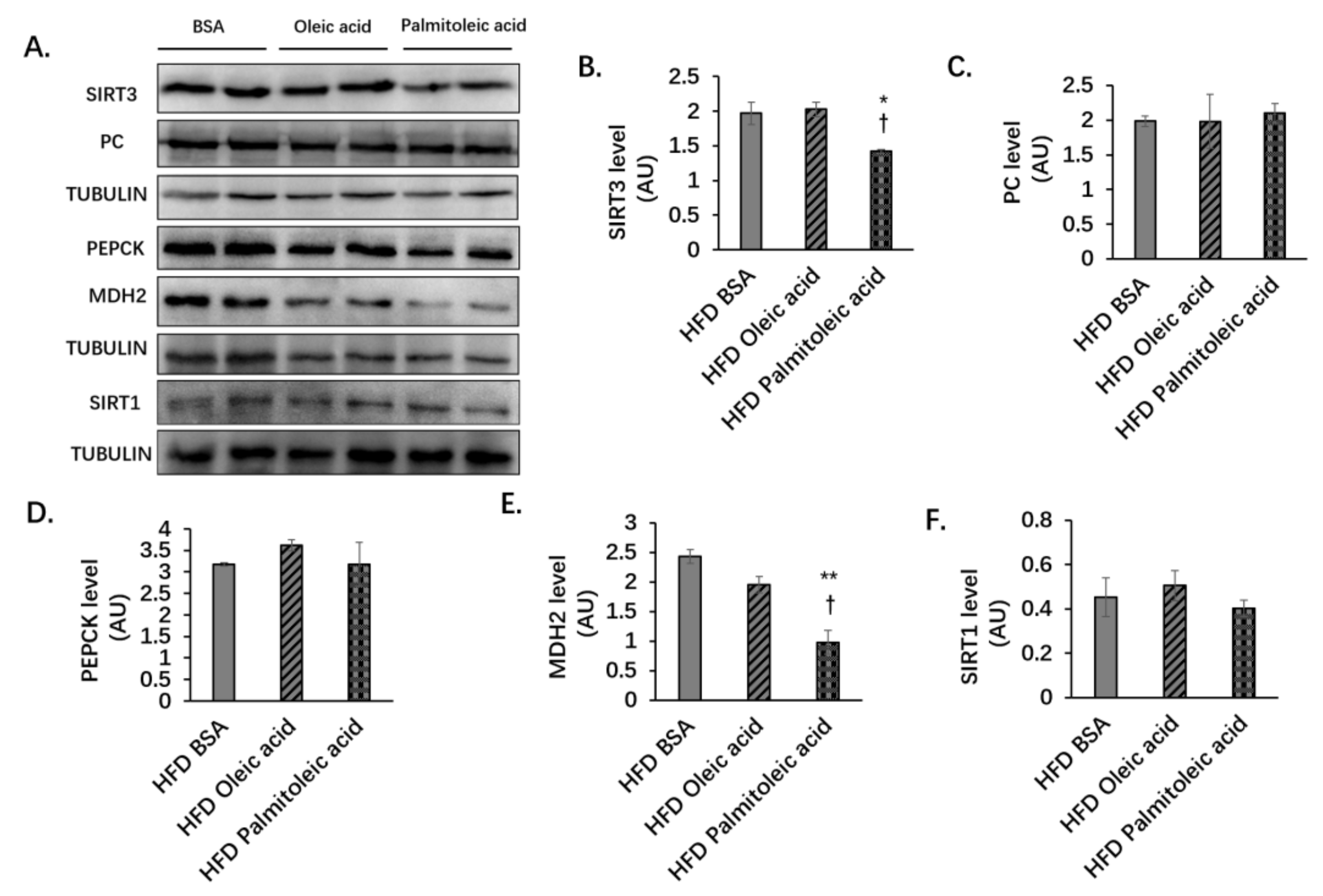 Nutrients 14 01482 g003